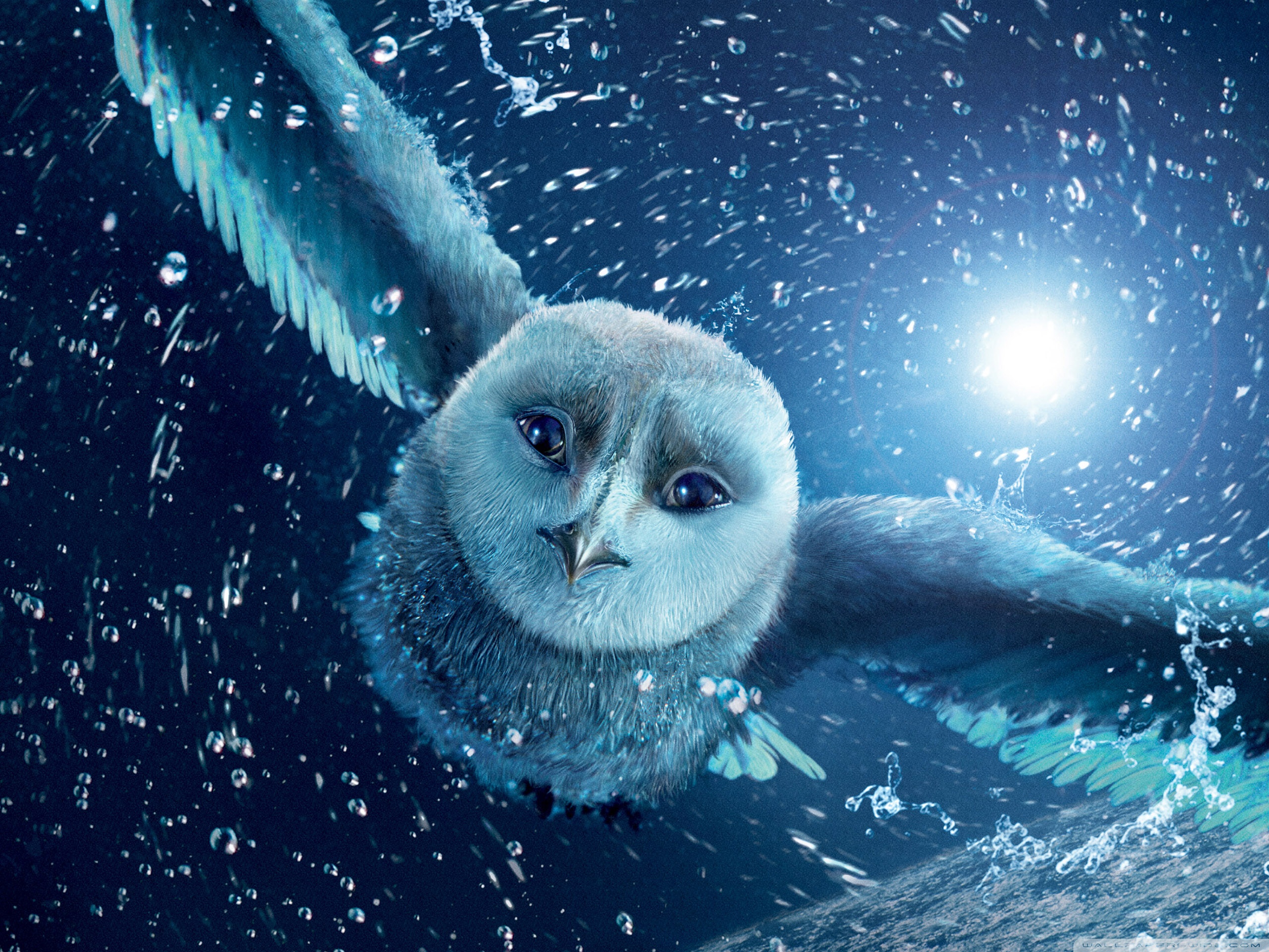 Legend of the Guardians The Owls of Ga Hoole Ultra HD Desktop Background Wallpaper for 4K UHD TV, Widescreen & UltraWide Desktop & Laptop, Tablet