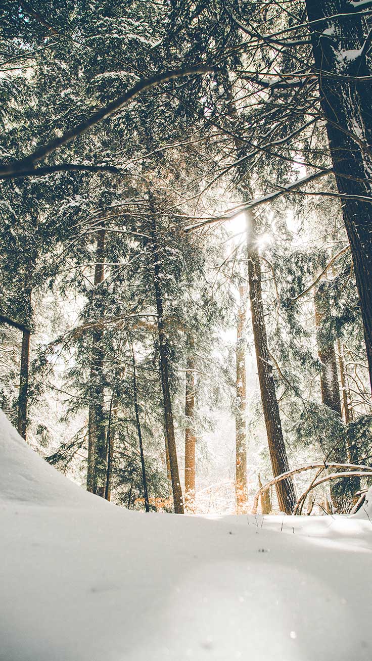 Wonderful Winter World iPhone X Wallpaper