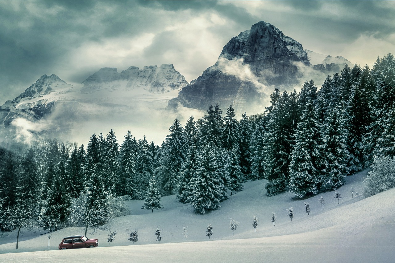 Winter Landscape Snow