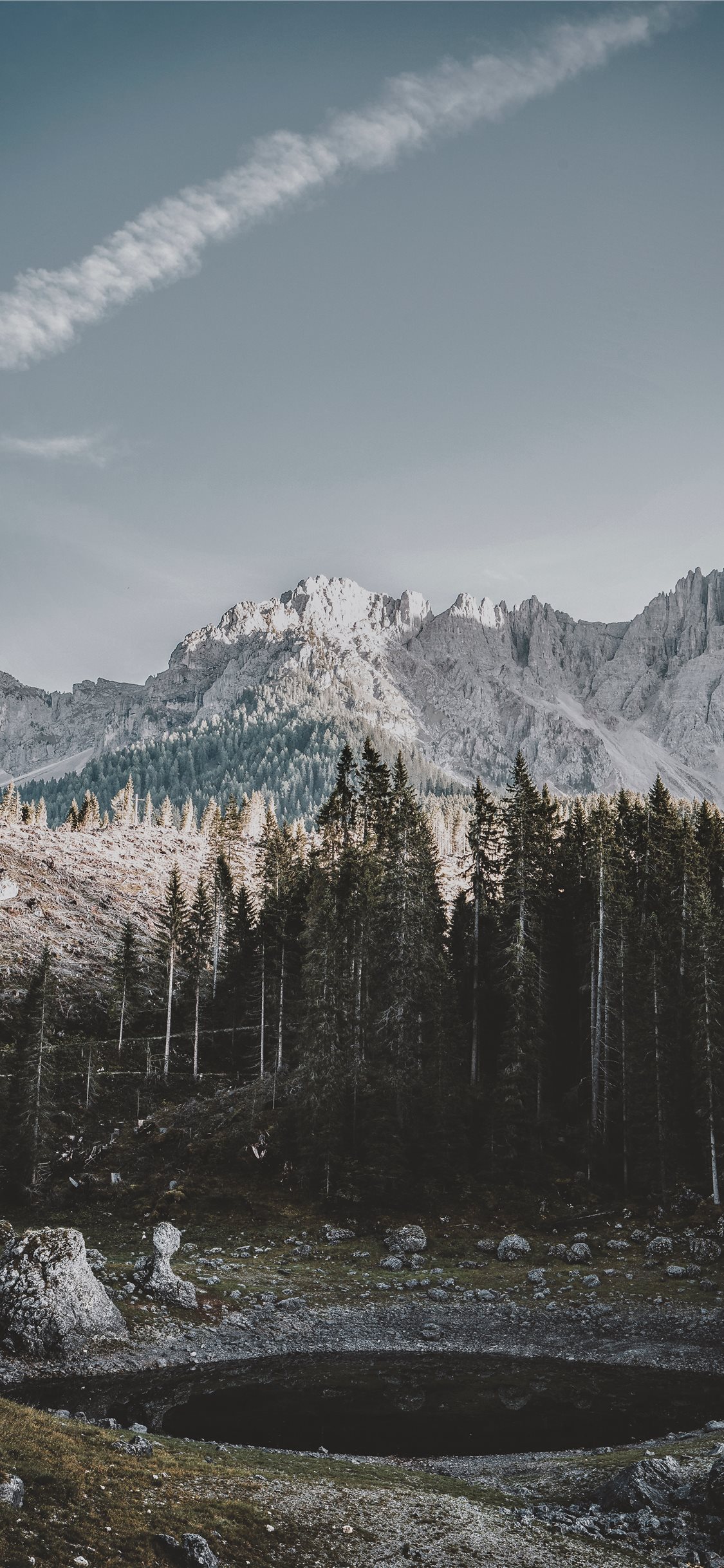 lake in forest iPhone 11 Wallpaper Free Download