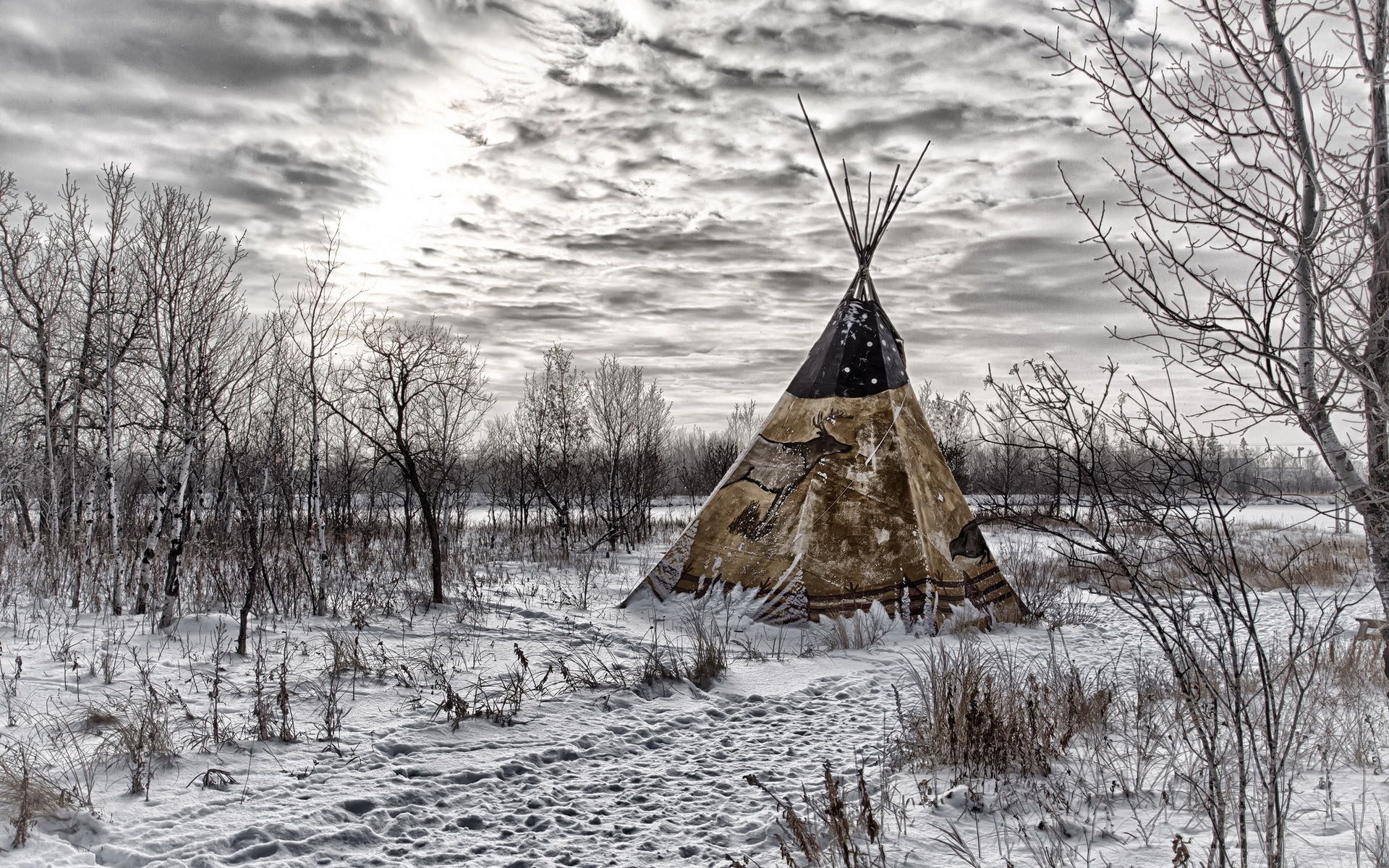 Native American Tipi or teepee covered with animal skins
