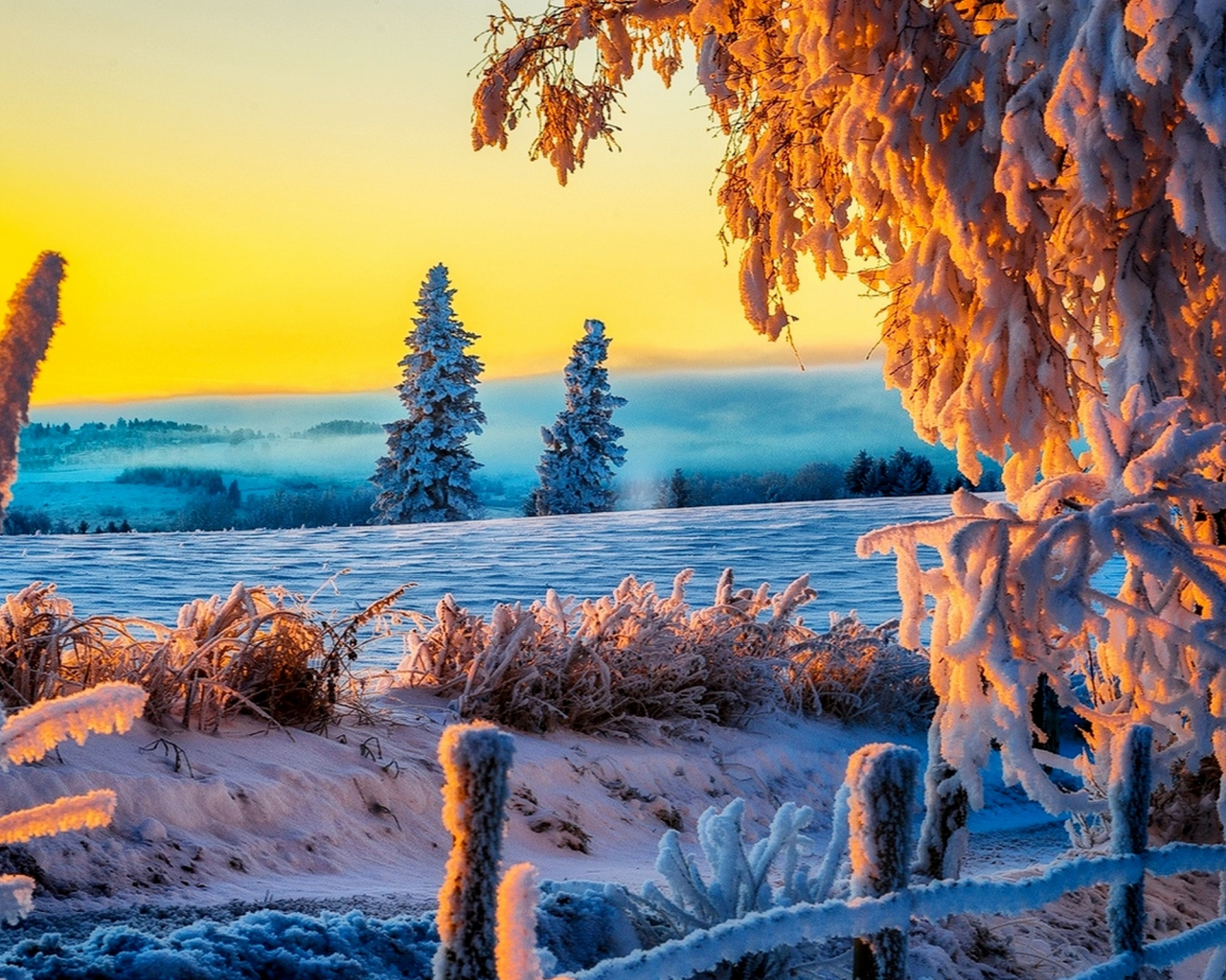 32K Ultra HD Winter Wallpaper