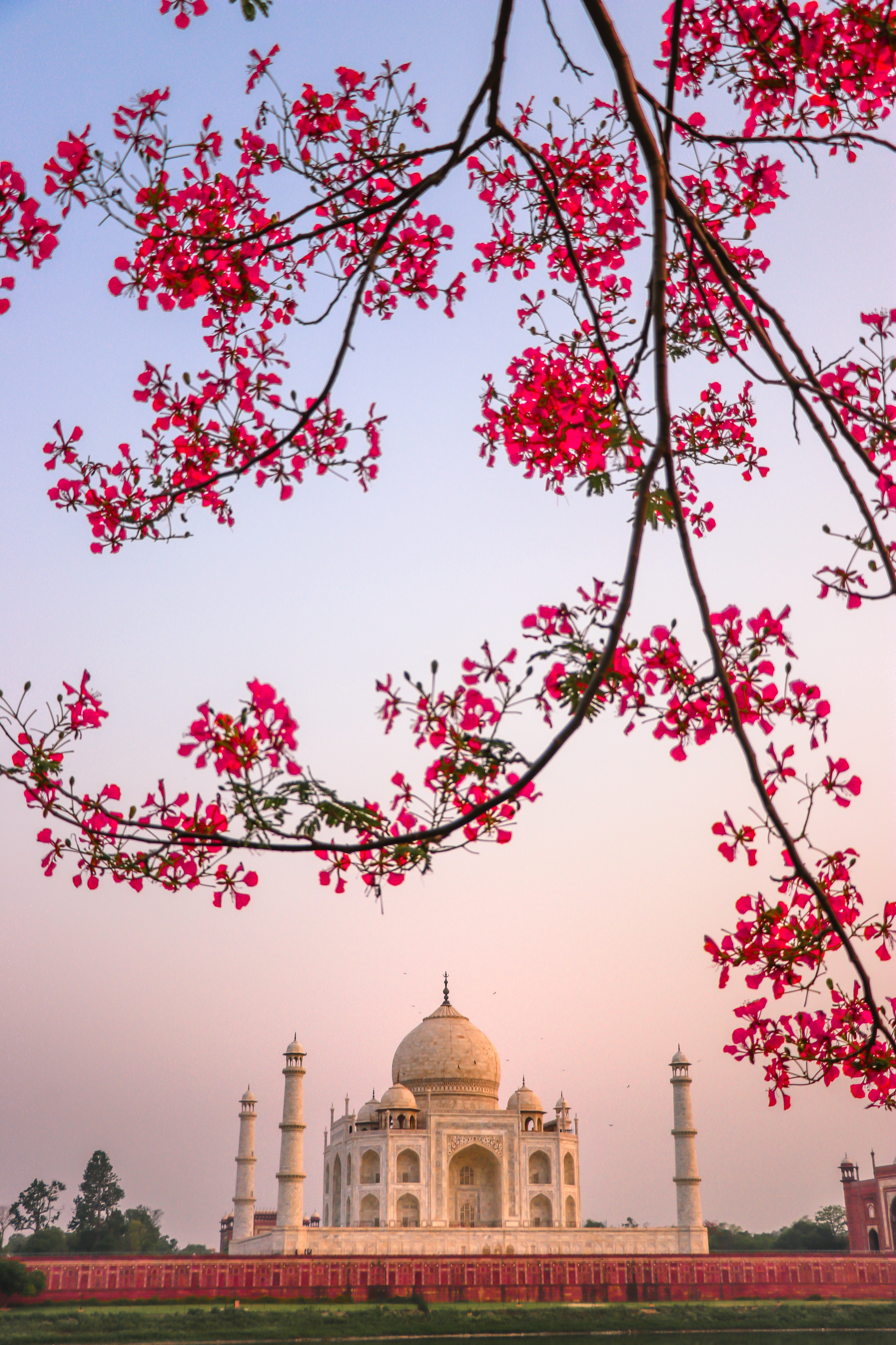 2047-taj-mahal-wallpapers | Taj Mahal india, is a mausoleum … | Flickr