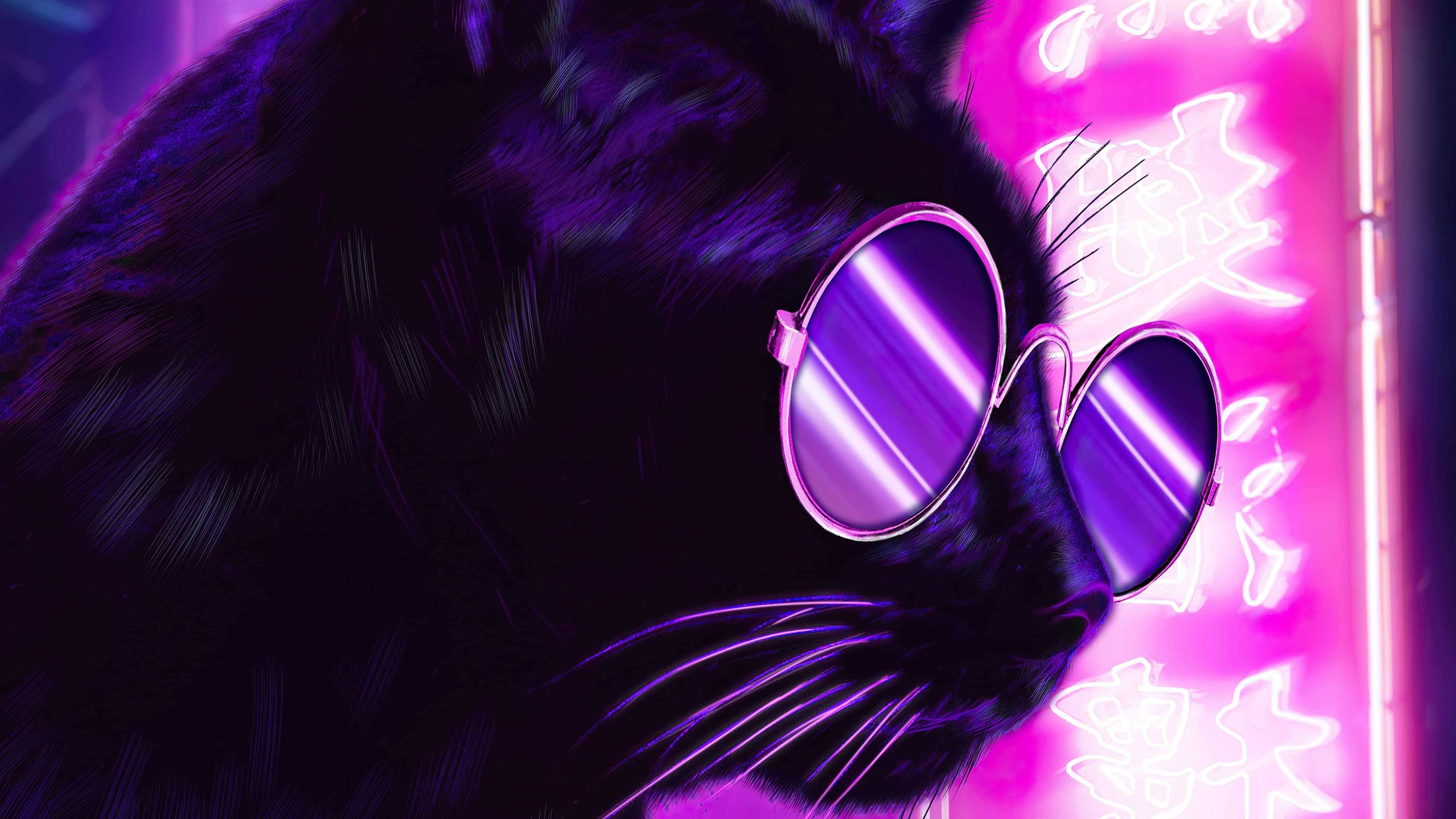 Download Purple Aesthetic Black Cat Wallpaper