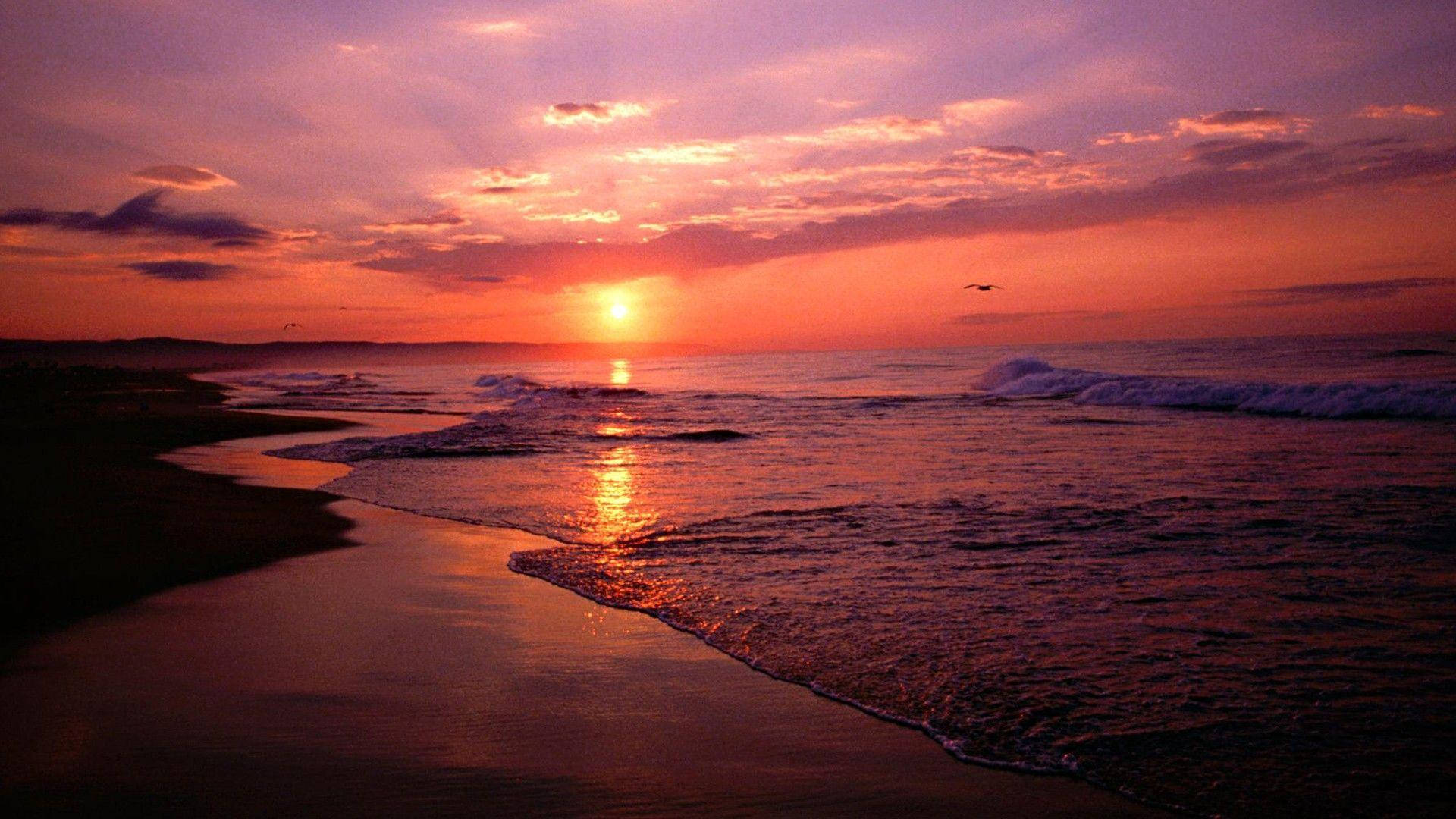 Download Sunset On The Dark Beach Wallpaper