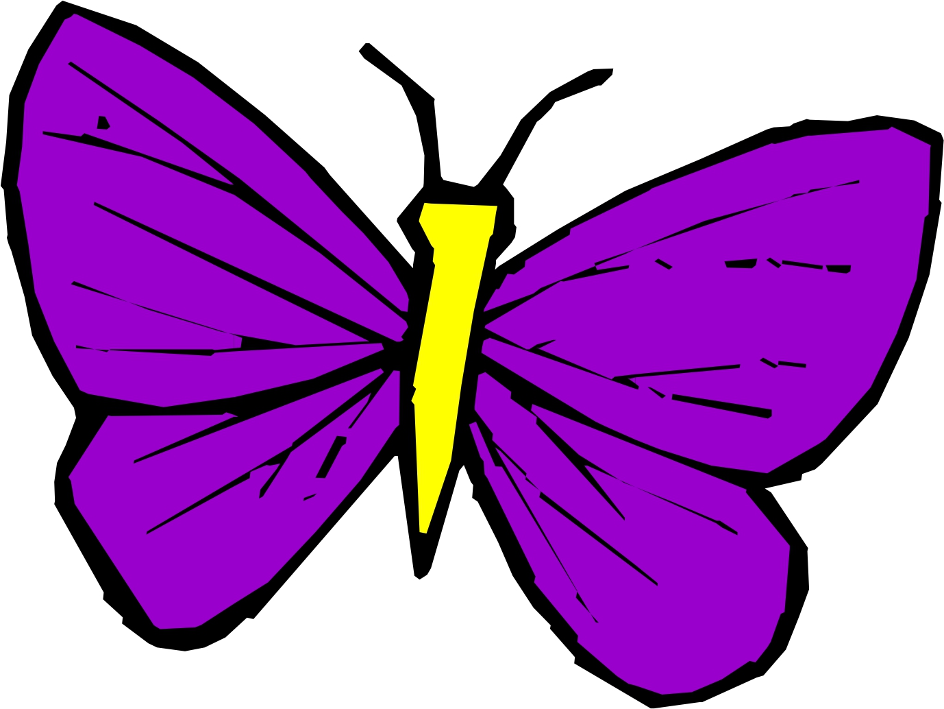 Cartoon Butterfly Image