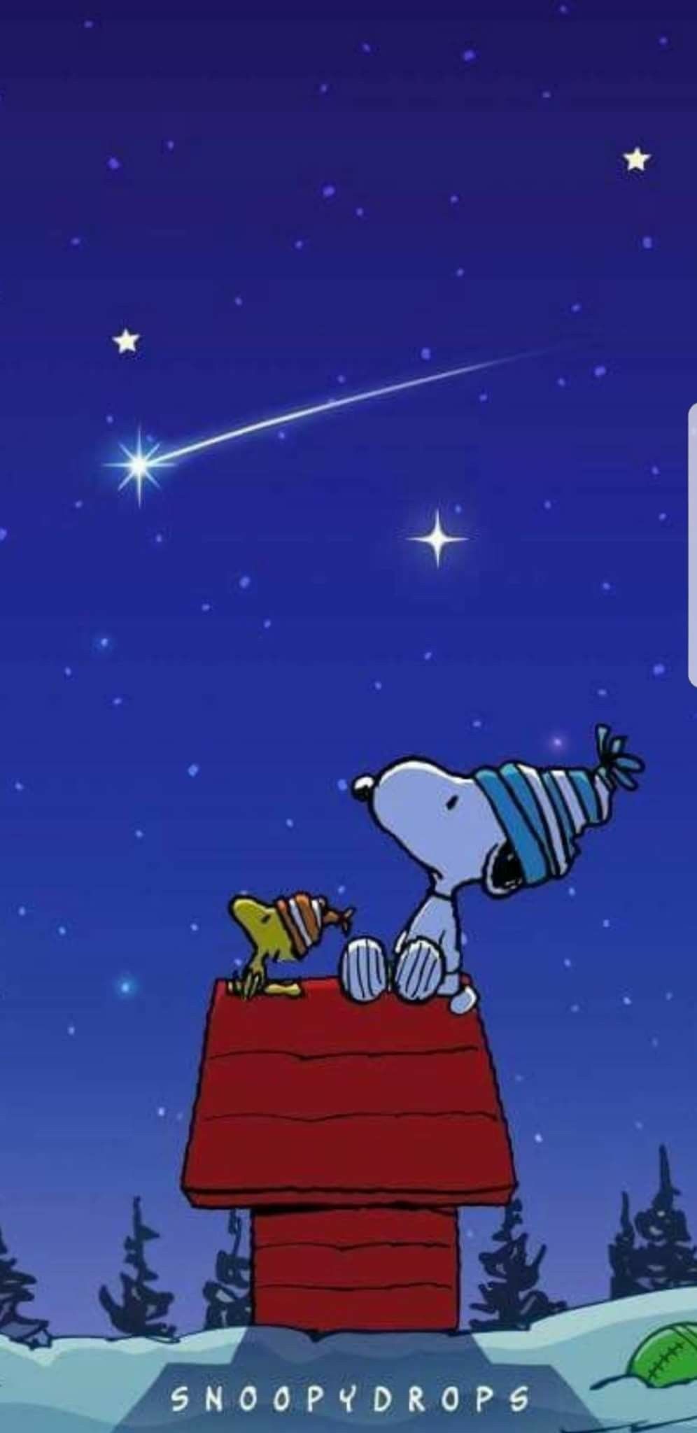 Snoopy. Snoopy picture, Snoopy wallpaper, Snoopy