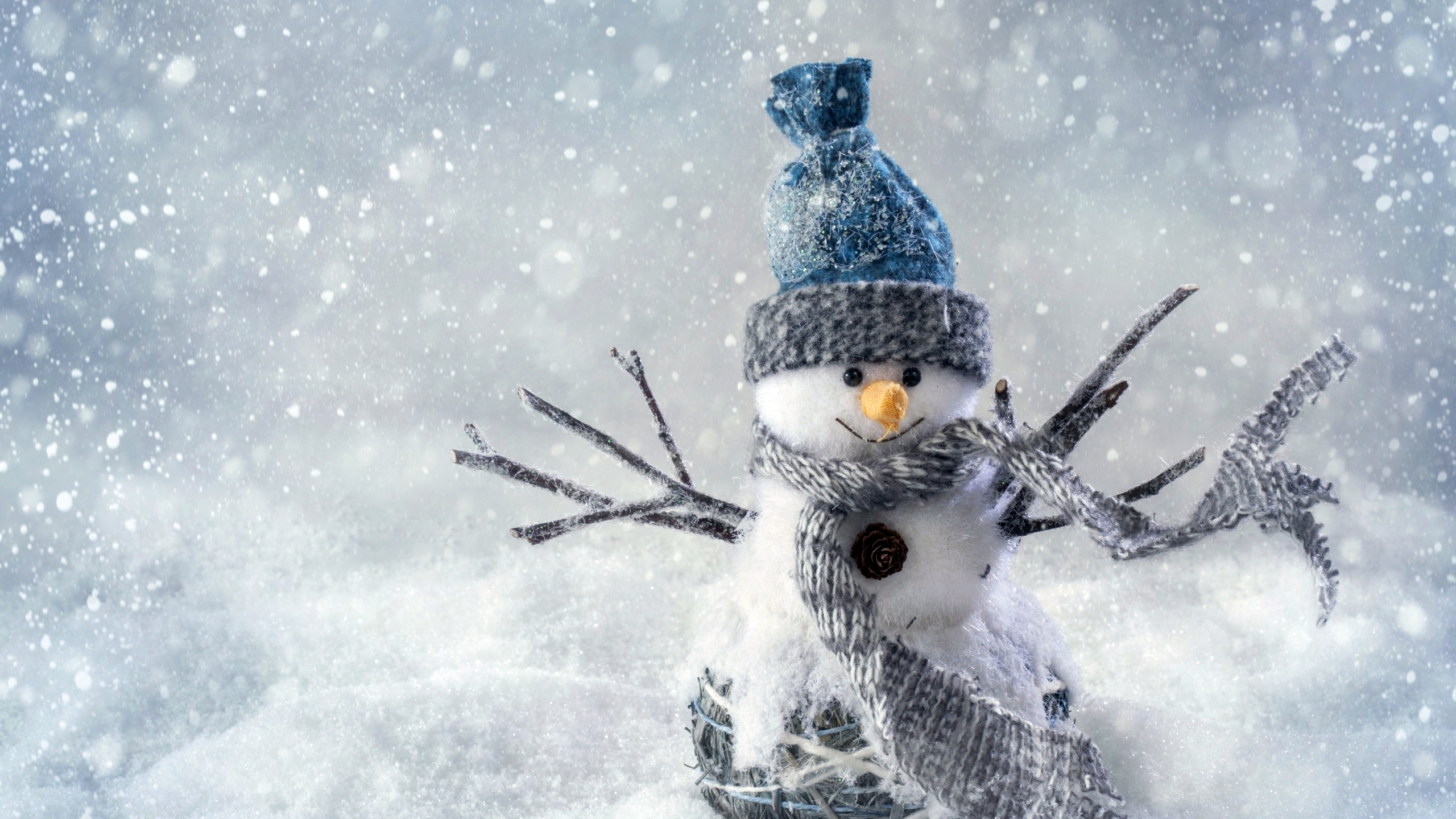image Winter Winter hat Snowflakes Snow Snowman 2560x1440