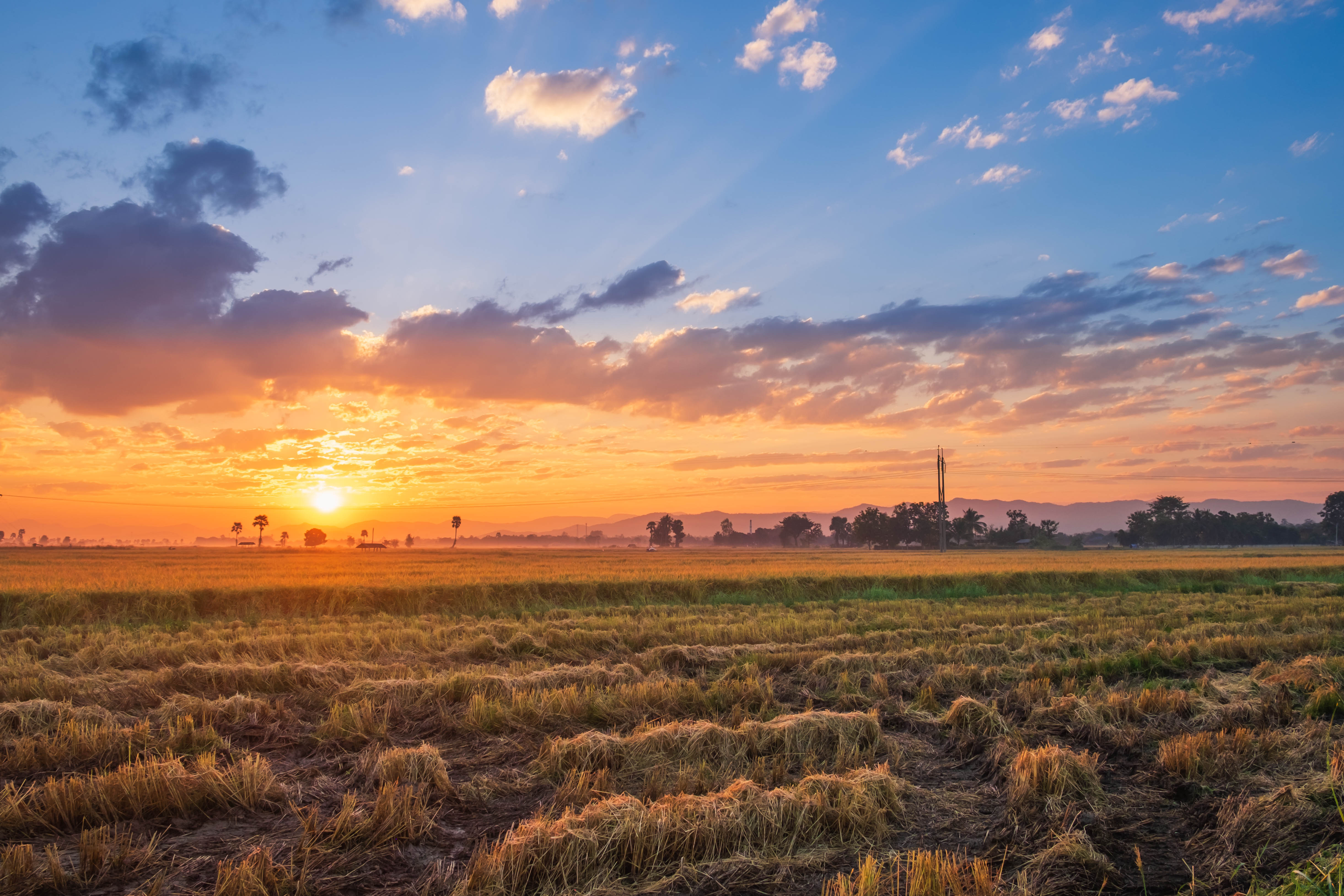 Farm Sunset , Image and Background for Free Download