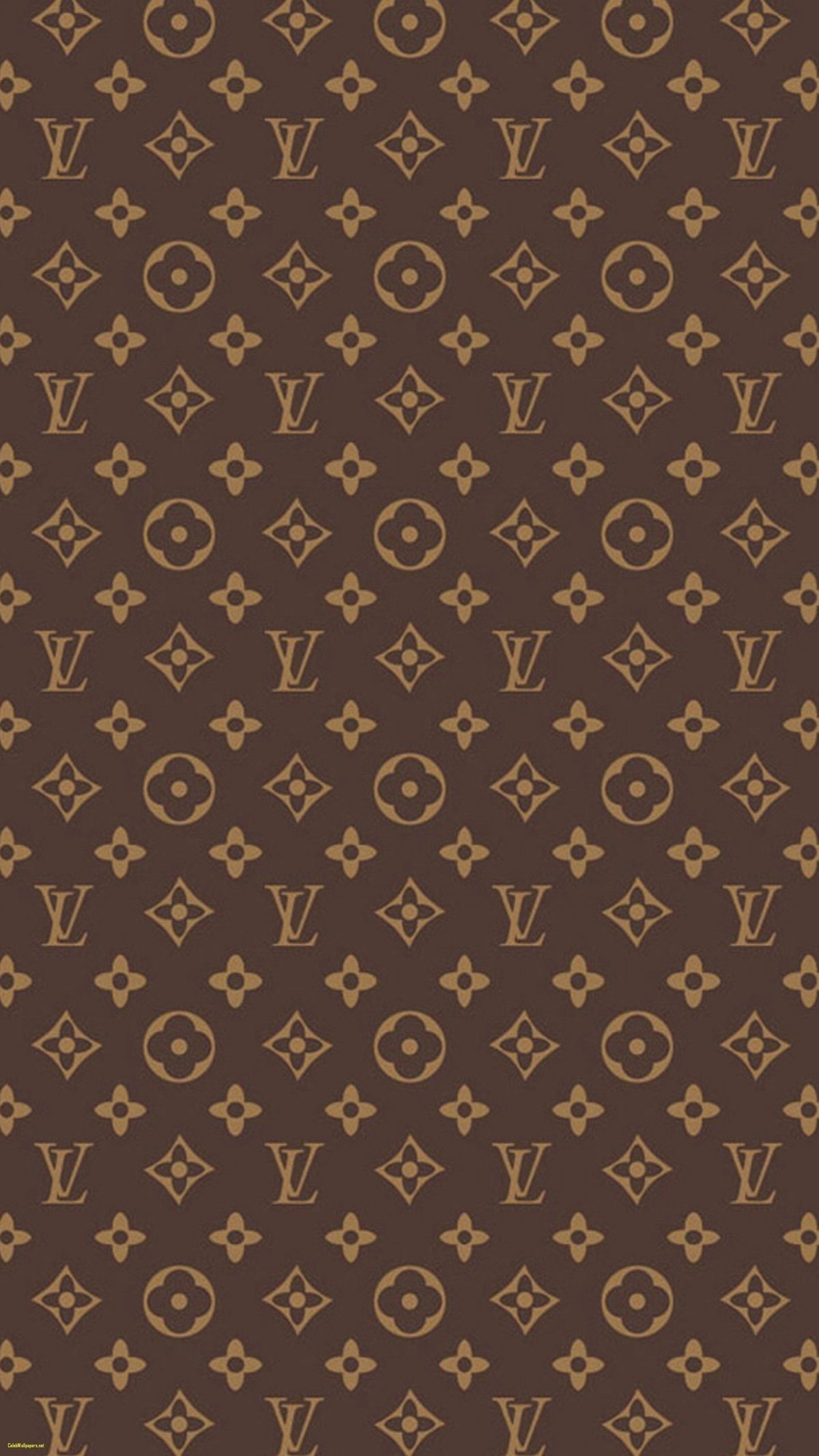 ꪖꪑⅈꪀꪖ'ડ ⅈᦔꫀꪖડ