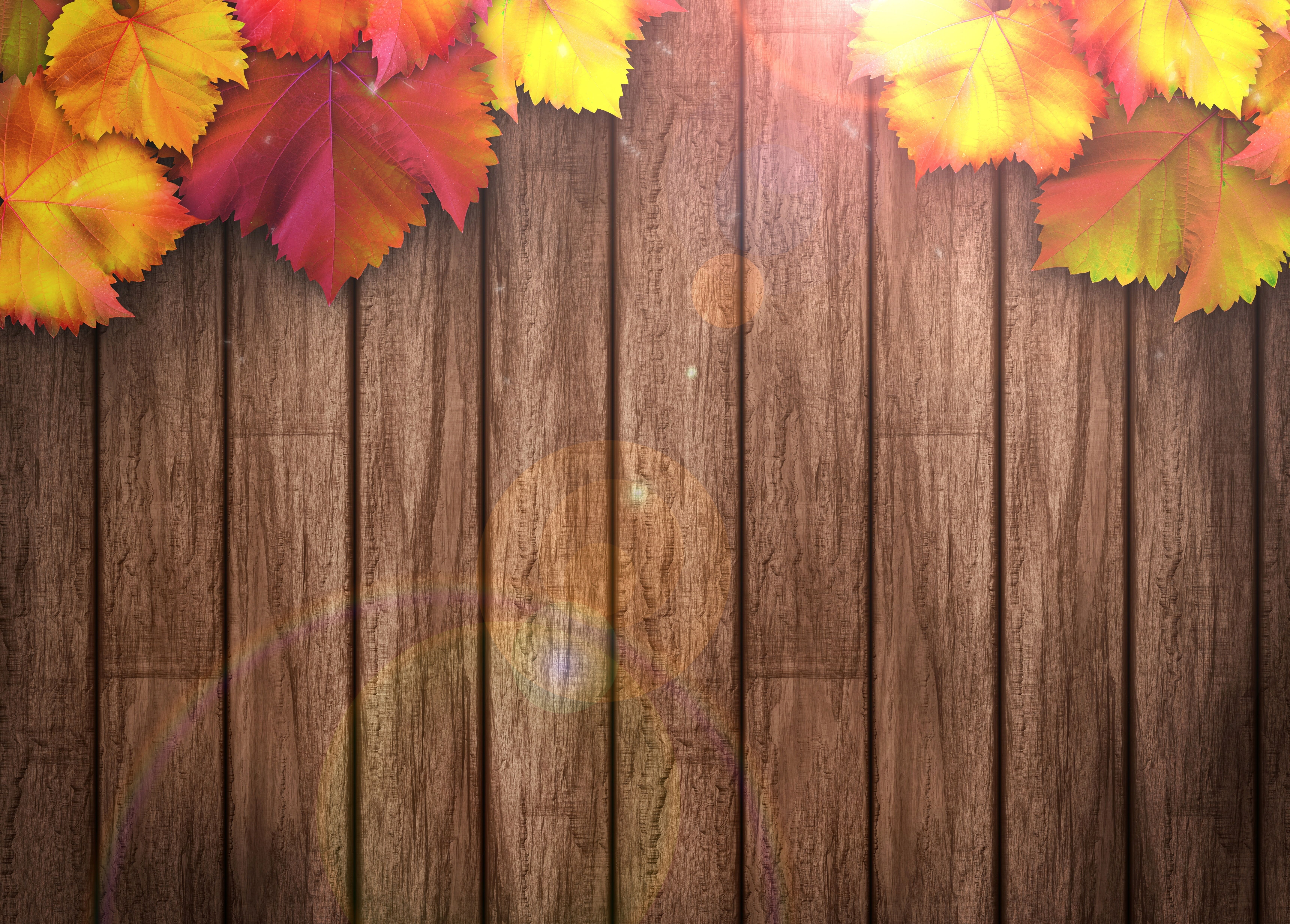 brown wooden pallet board and red and yellow leaves wallpaper #background #tree #colorful #wood #texture #autumn #leave. Leaf wallpaper, Fall wallpaper, Wallpaper