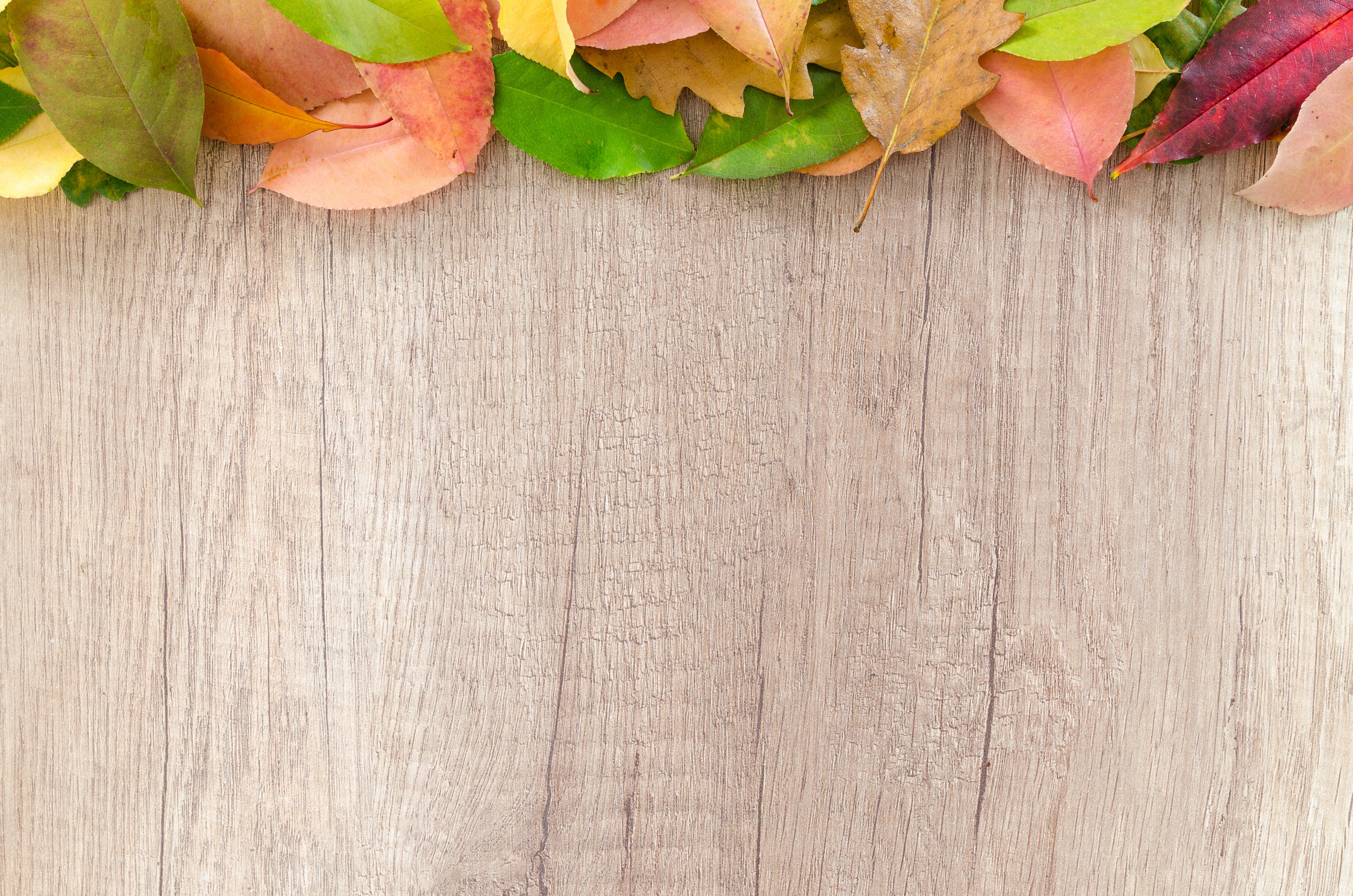 Autumn Background Photo, Download Free Autumn Background & HD Image