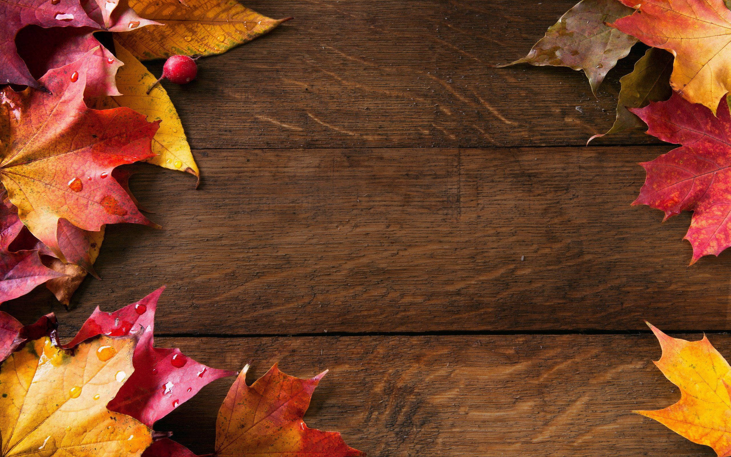 Download Cute Wooden Fall Wallpaper