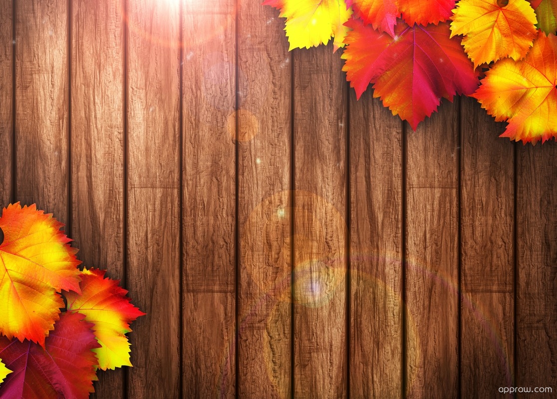 Autumn Wooden Background Wallpaper download HD Wallpaper