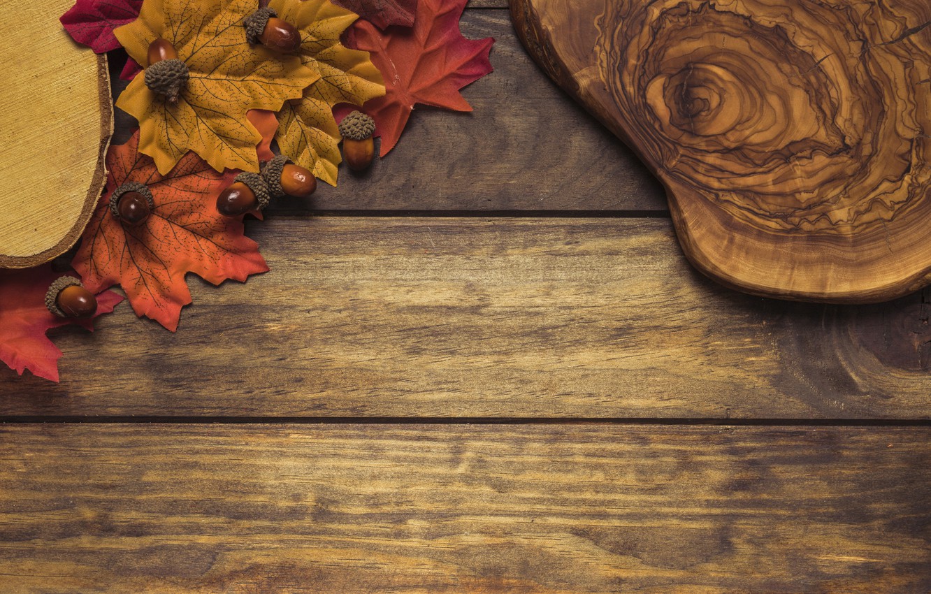 Wallpaper autumn, leaves, background, tree, colorful, Board, wood, acorns, background, autumn, leaves, autumn, maple image for desktop, section текстуры