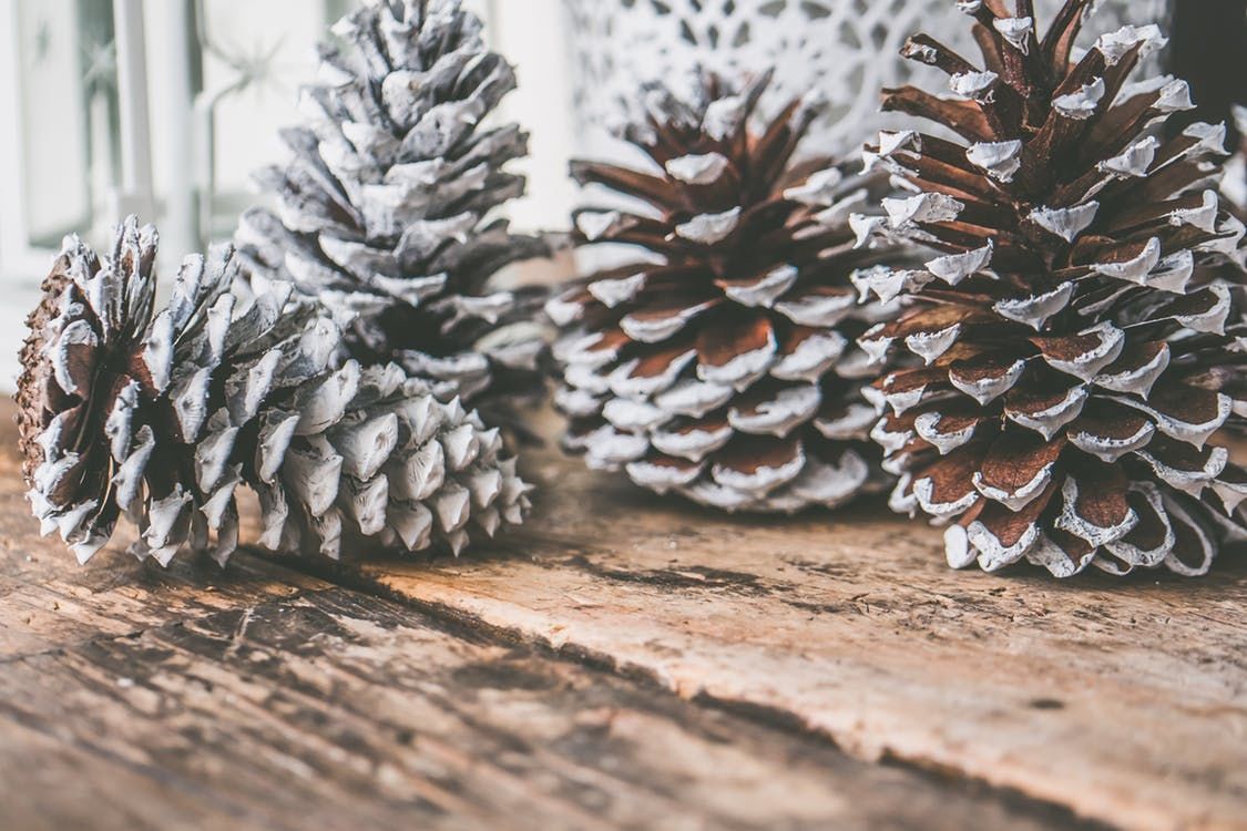 Winter Pinecones Picture, Photo, and Image for Facebook, Tumblr, , and Twitter