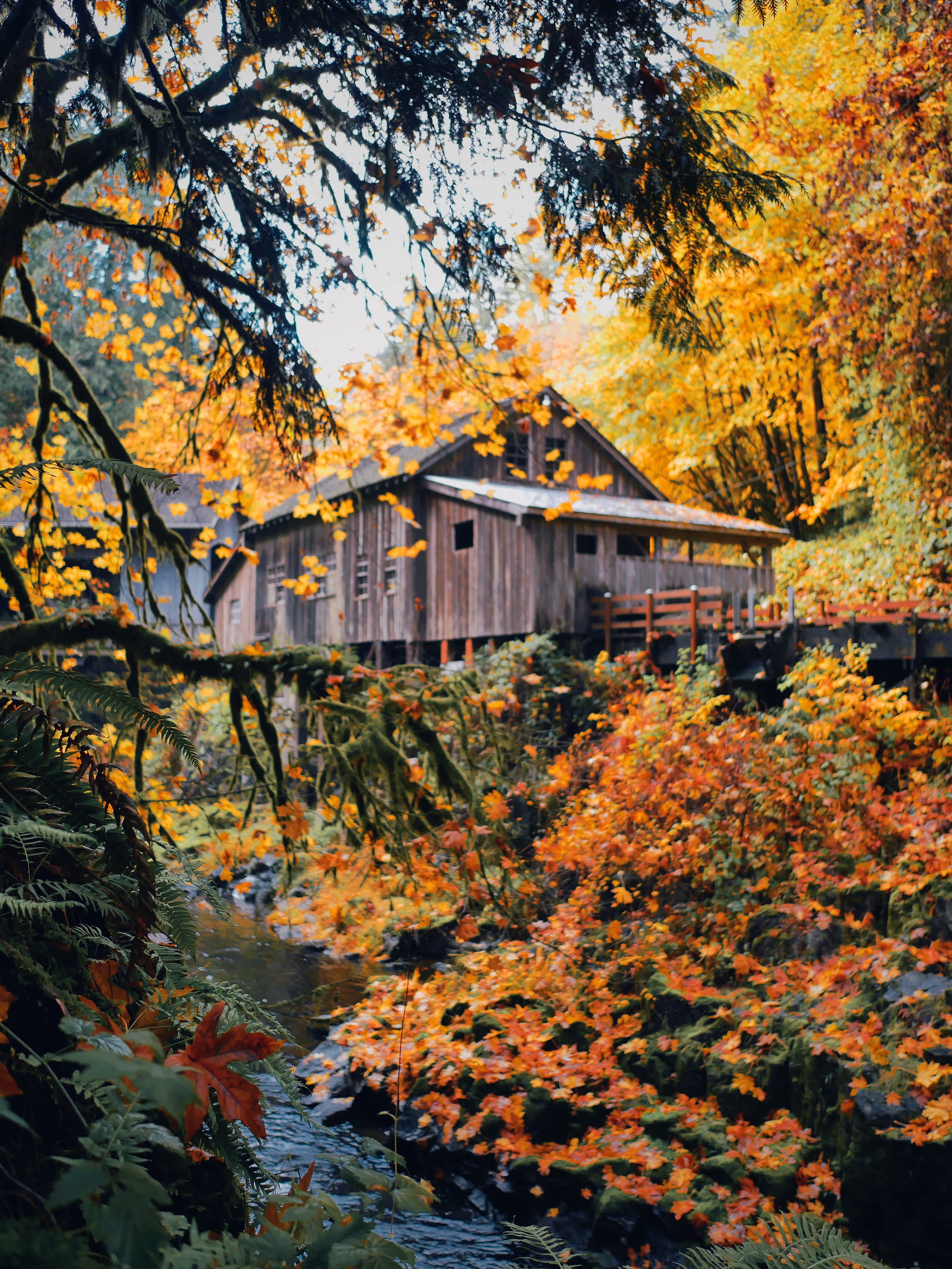 Download wallpaper 3448x4592 house, wooden, nature, autumn HD background