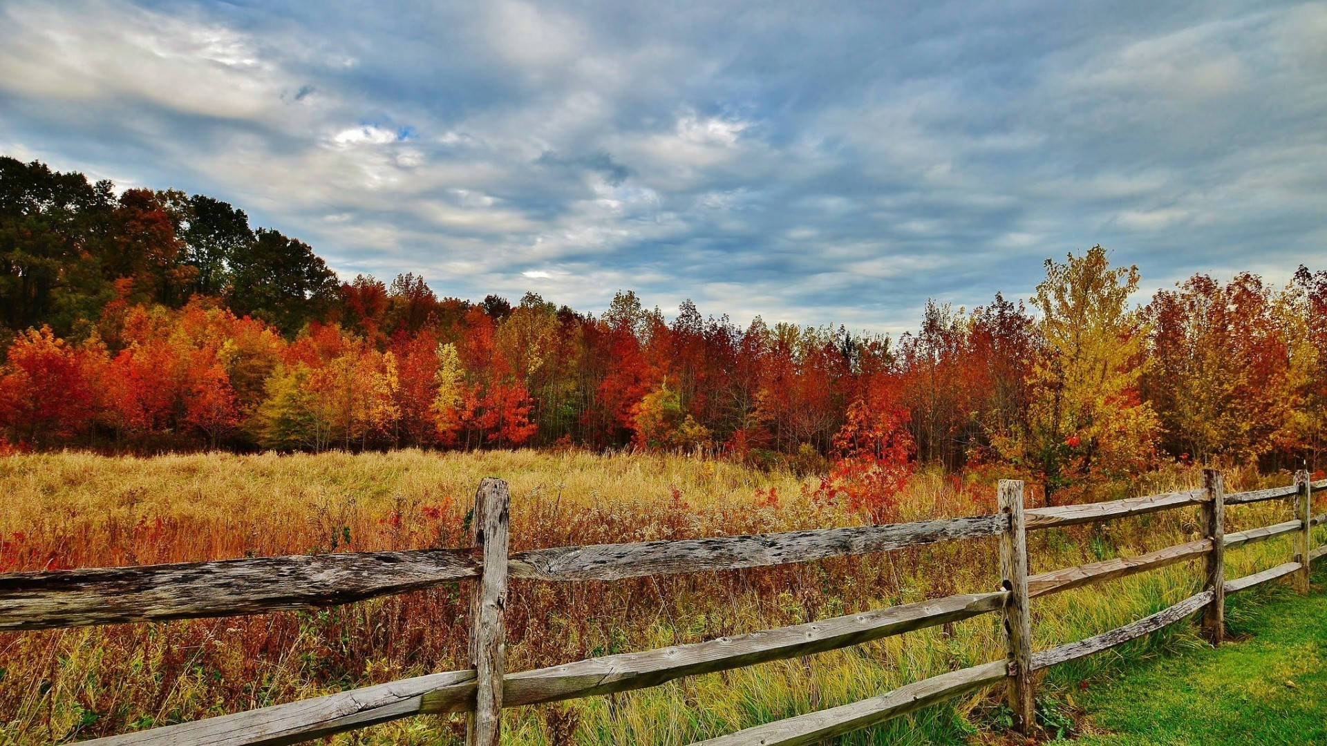 Download Wooden Fence Best Autumn Wallpaper