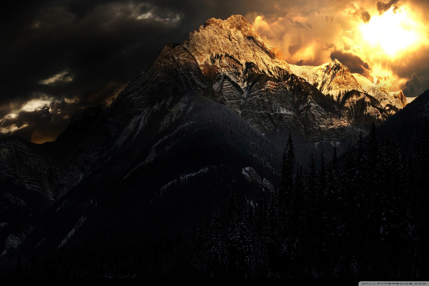 Dark Winter Ultra HD Desktop Background Wallpaper for 4K UHD TV, Widescreen & UltraWide Desktop & Laptop, Tablet