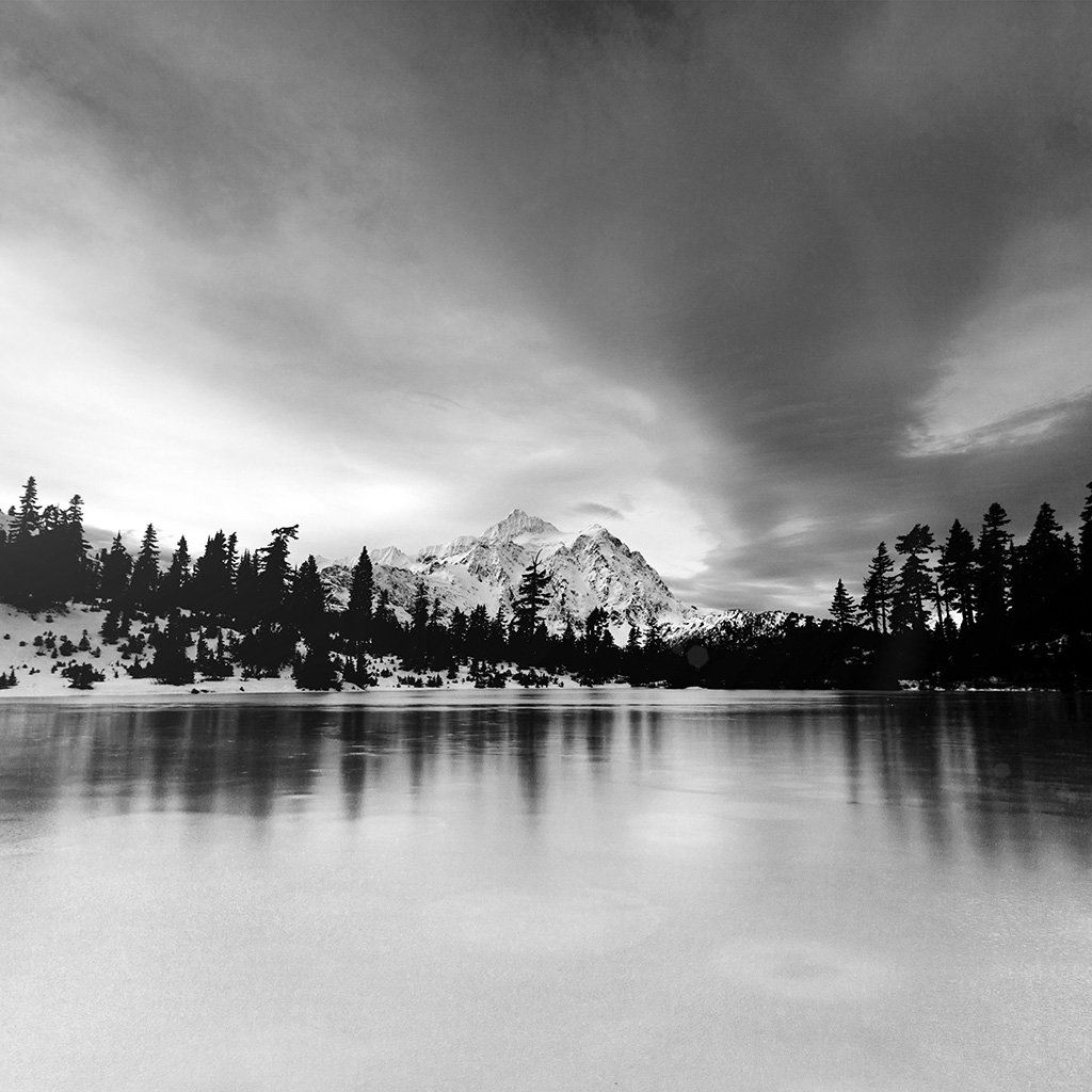 Frozen Lake Winter Snow Wood Forest Cold Bw Dark iPad Wallpaper Free Download