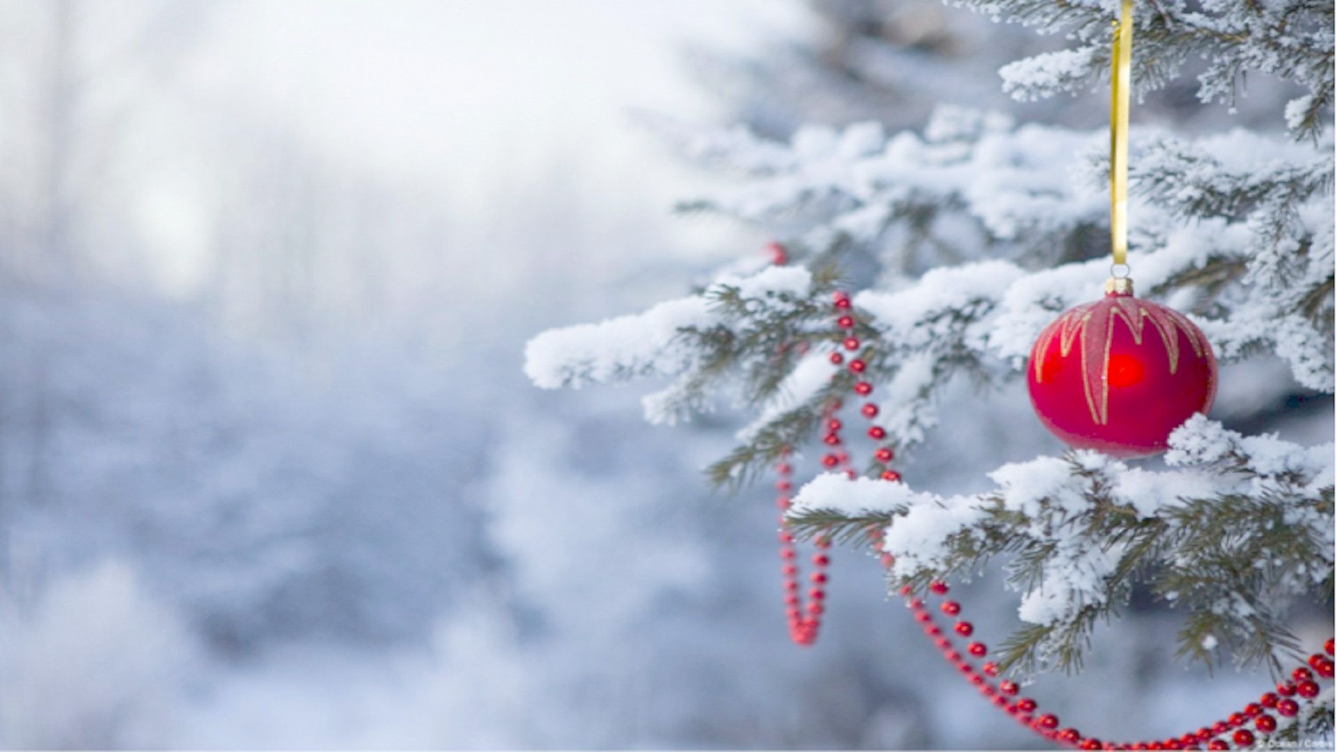 Snowy Christmas Tree Wallpaper