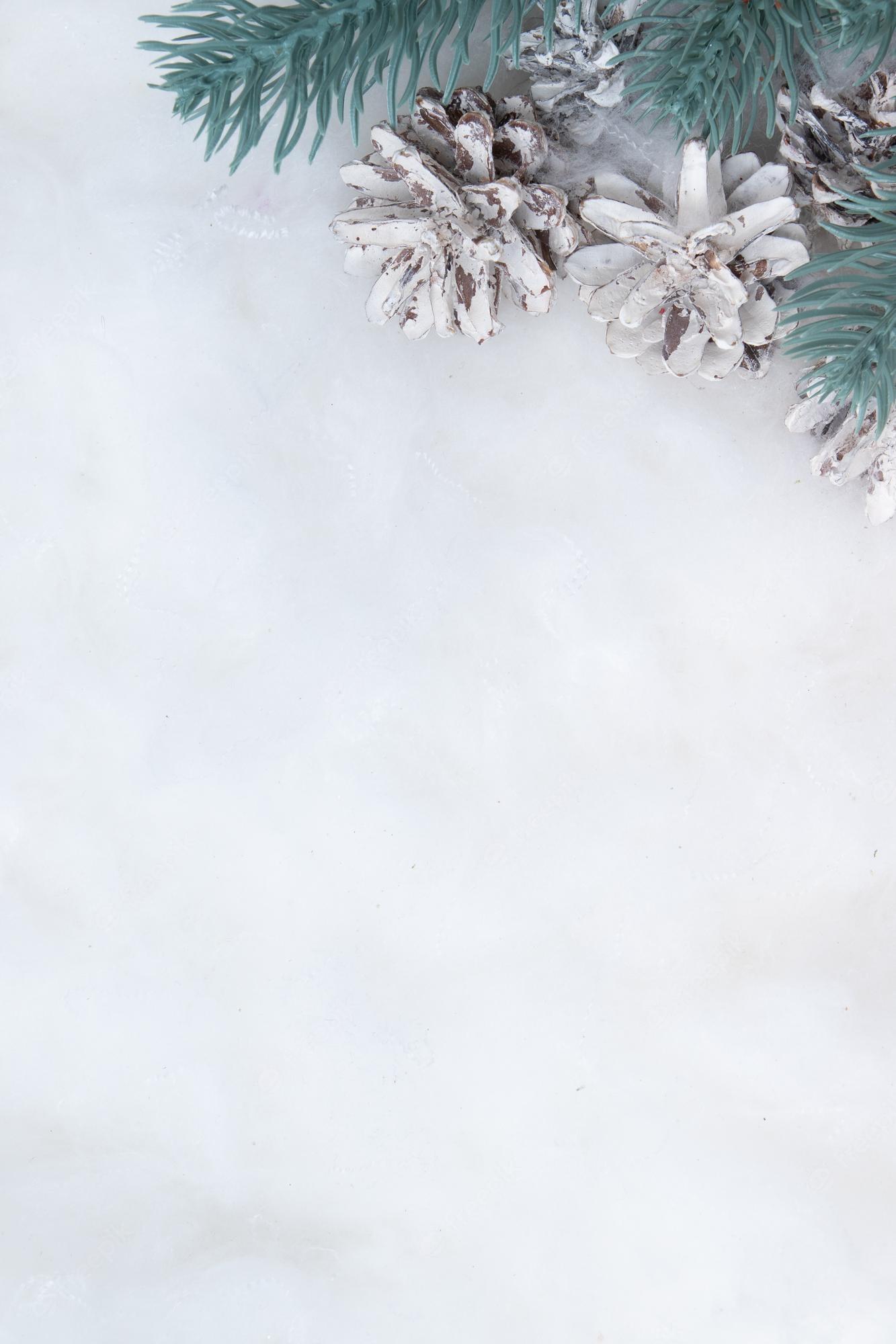 Premium Photo. White pine cones in the decorative snow and fir branch winter frozen background top view copy space