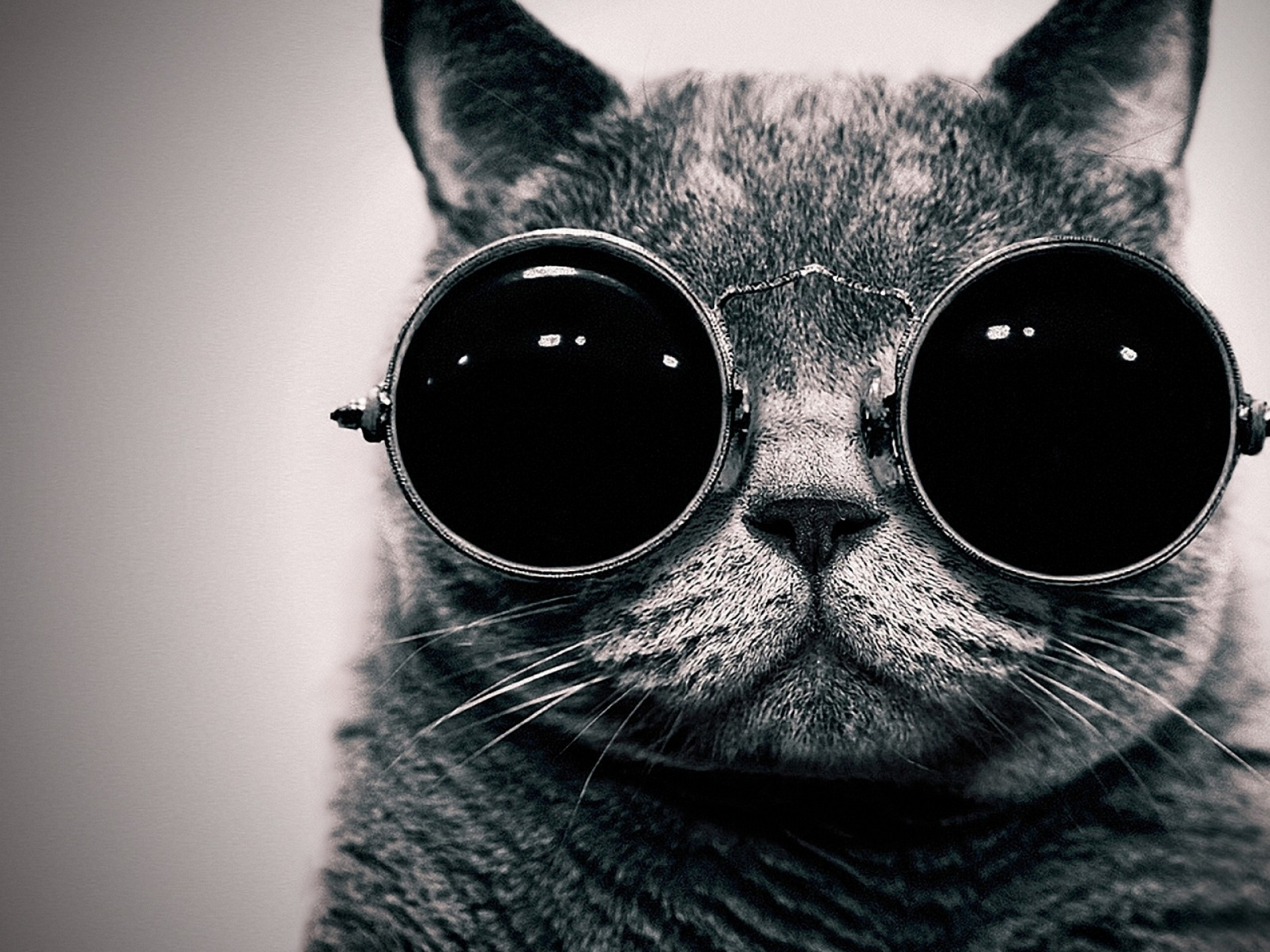 Eye Care in Kingman & Bullhead City, AZ. Mohave Eye Center