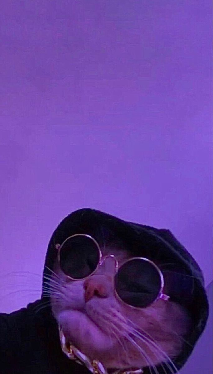 Purple Wallpaper. Purple wallpaper, Asthetic picture purple, Purple cat