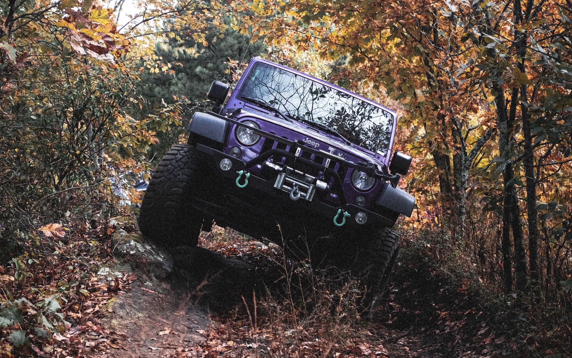 Download wallpaper 1920x1200 jeep wrangler, jeep, car, suv, purple, off road widescreen 16:10 HD background
