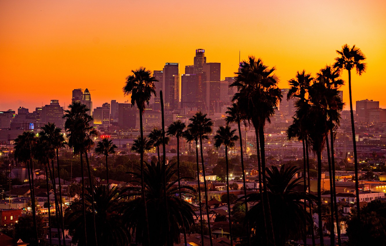 Wallpaper city, sunset, California, palm trees, los angeles, buildings, skyscrapers image for desktop, section город