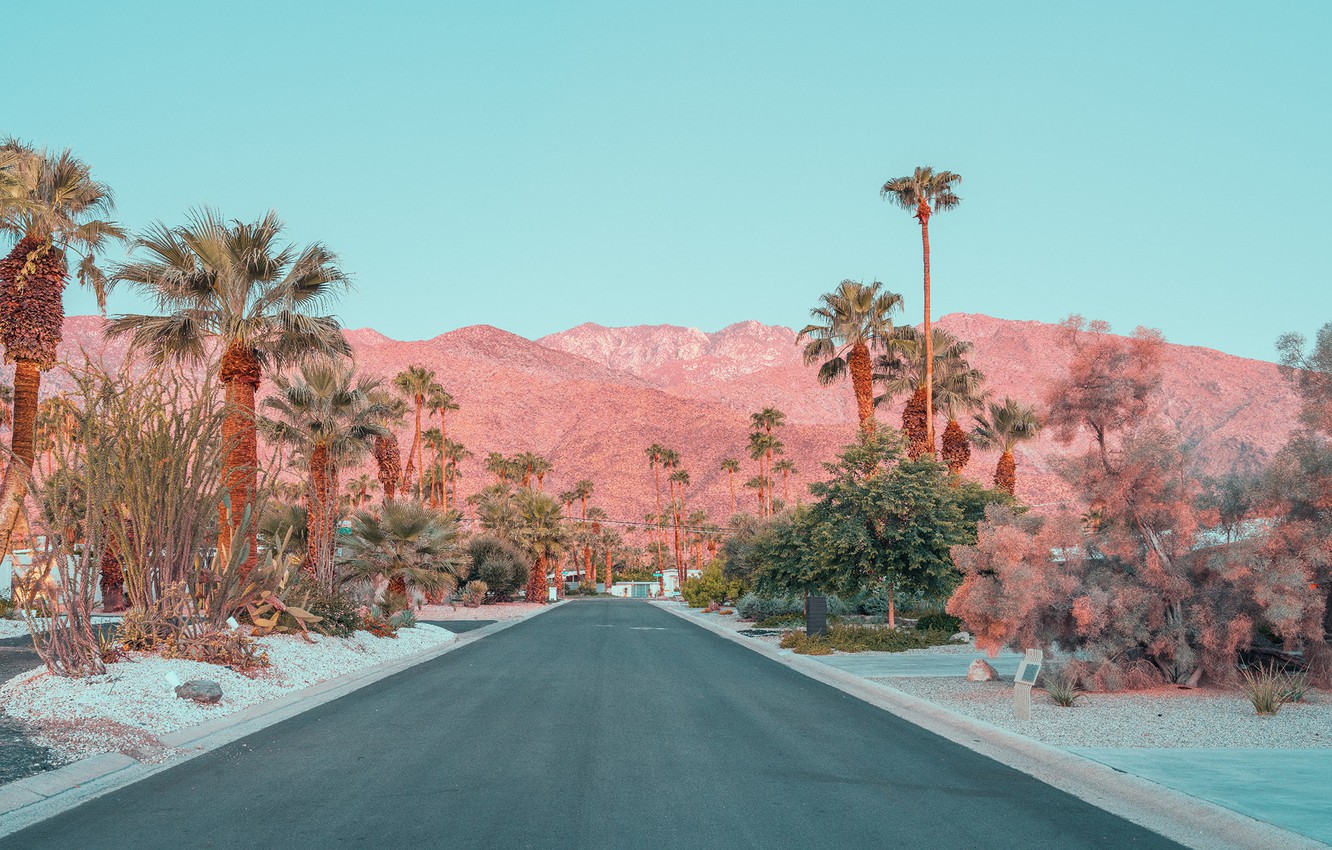 Wallpaper road, mountains, palm trees, street, ONCE UPON A TIME IN CALIFORNIA image for desktop, section город