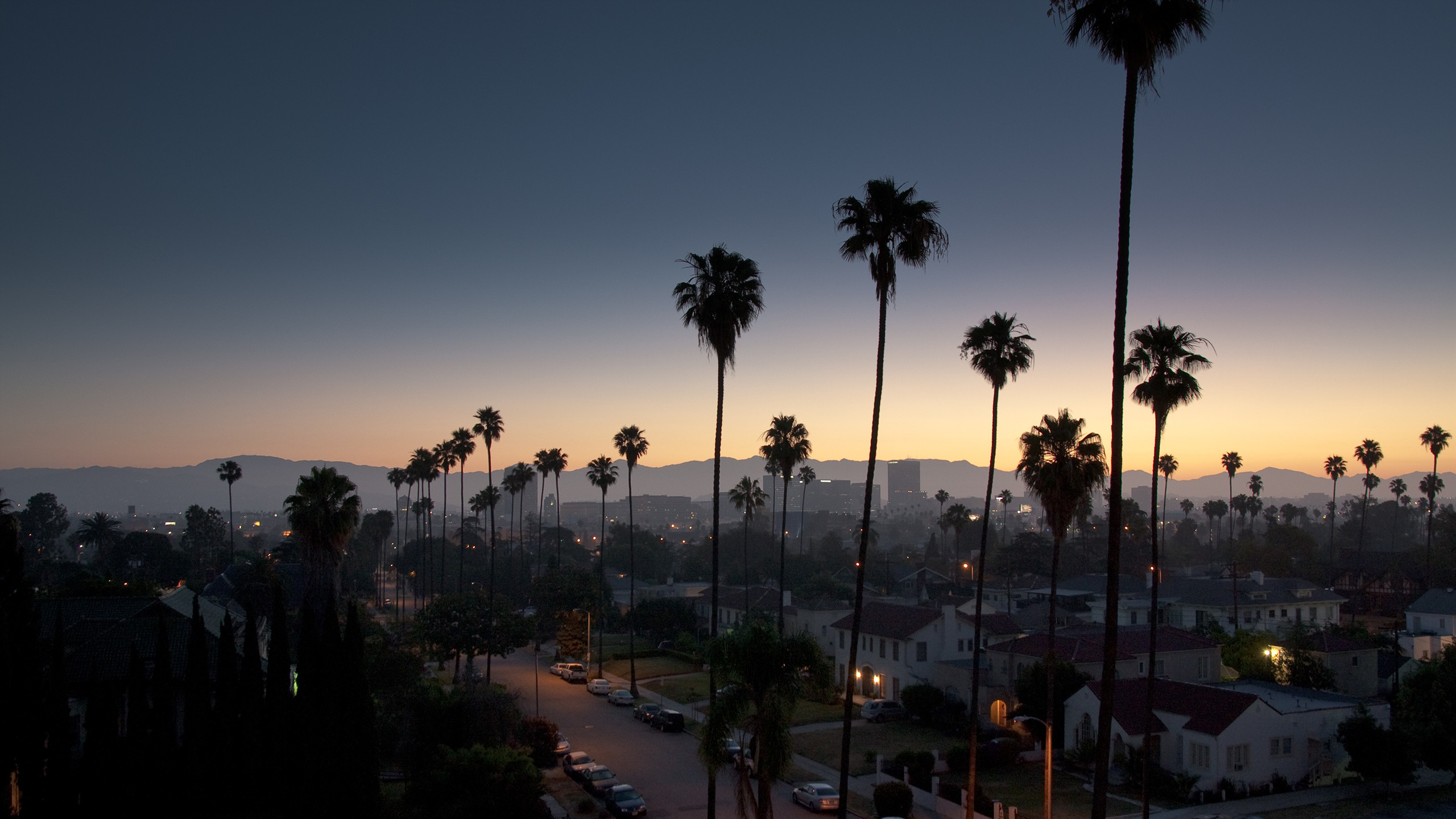 sky, Sunset, Los Angeles, Palm trees, Cityscape Wallpaper HD / Desktop and Mobile Background