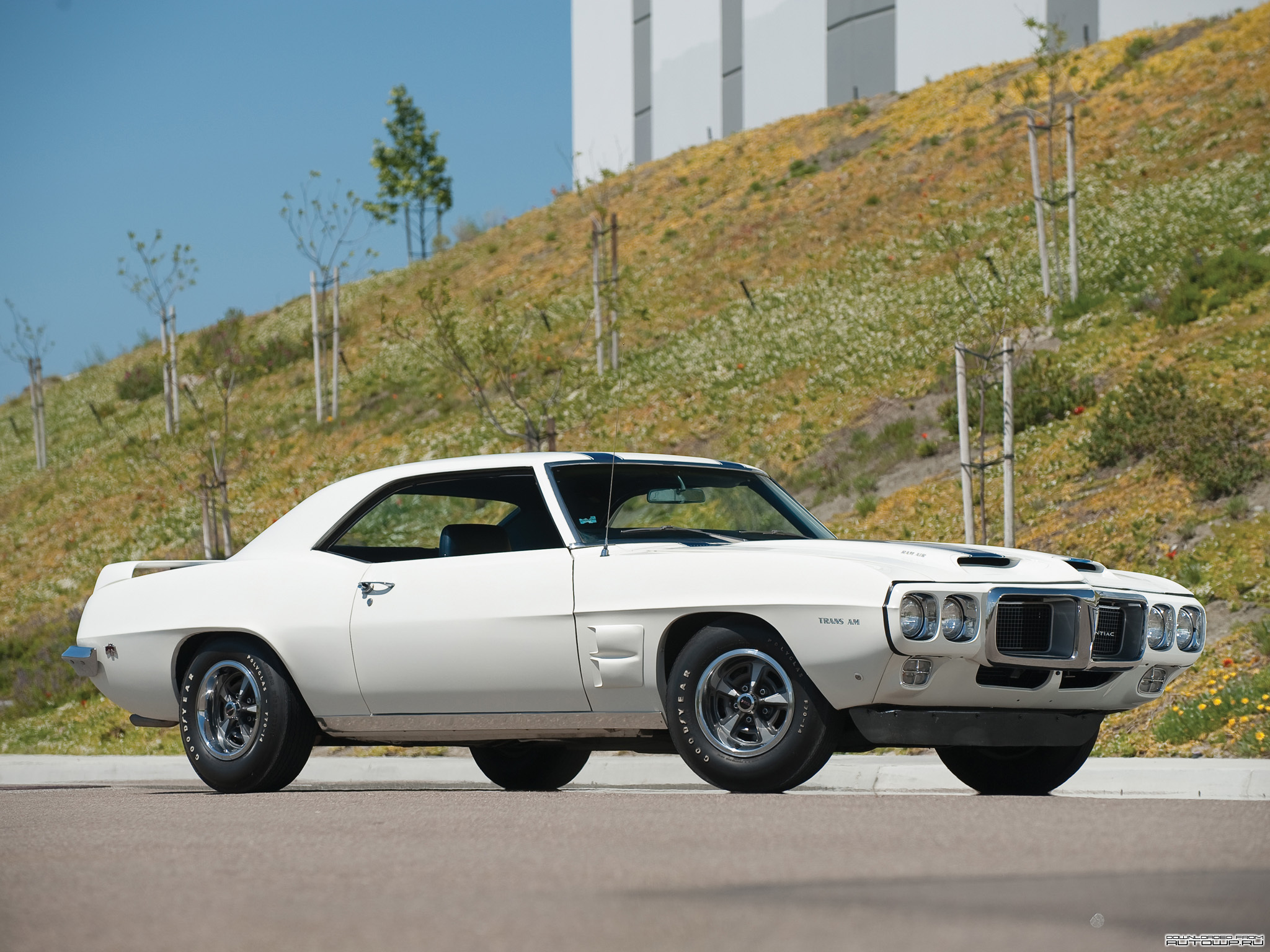 image Pontiac Firebird Trans Am 1969 Cars 2048x1536