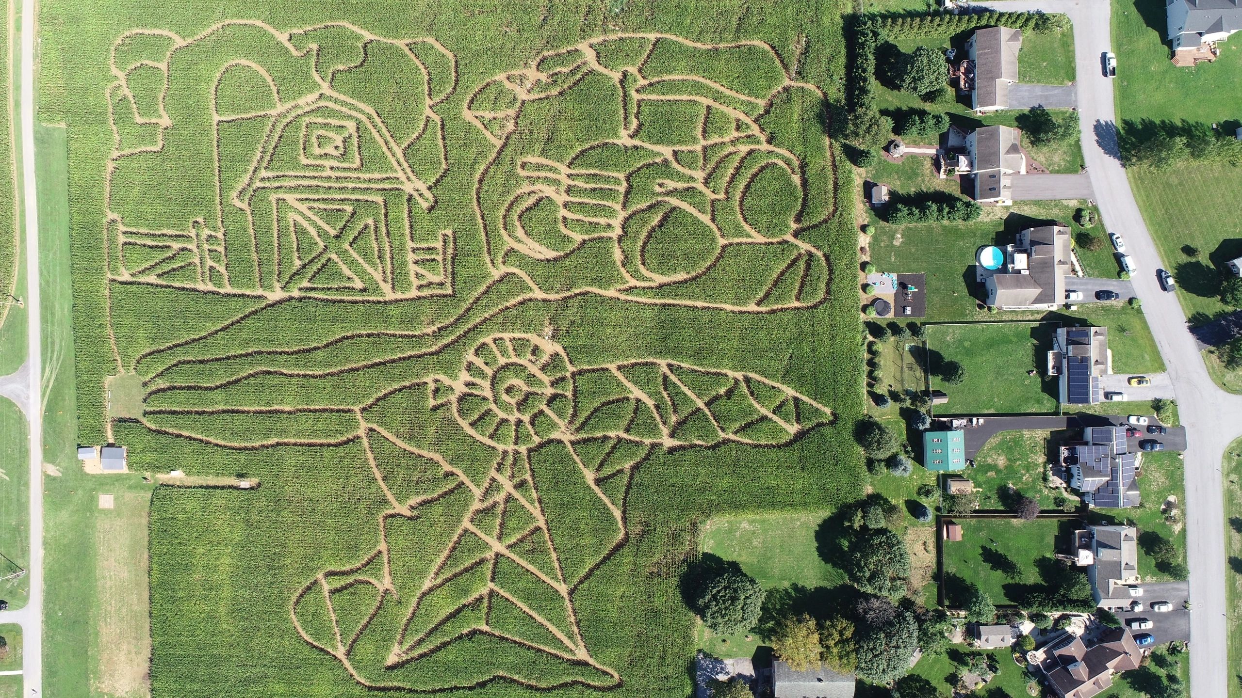 Corn Maze Wallpapers - Wallpaper Cave