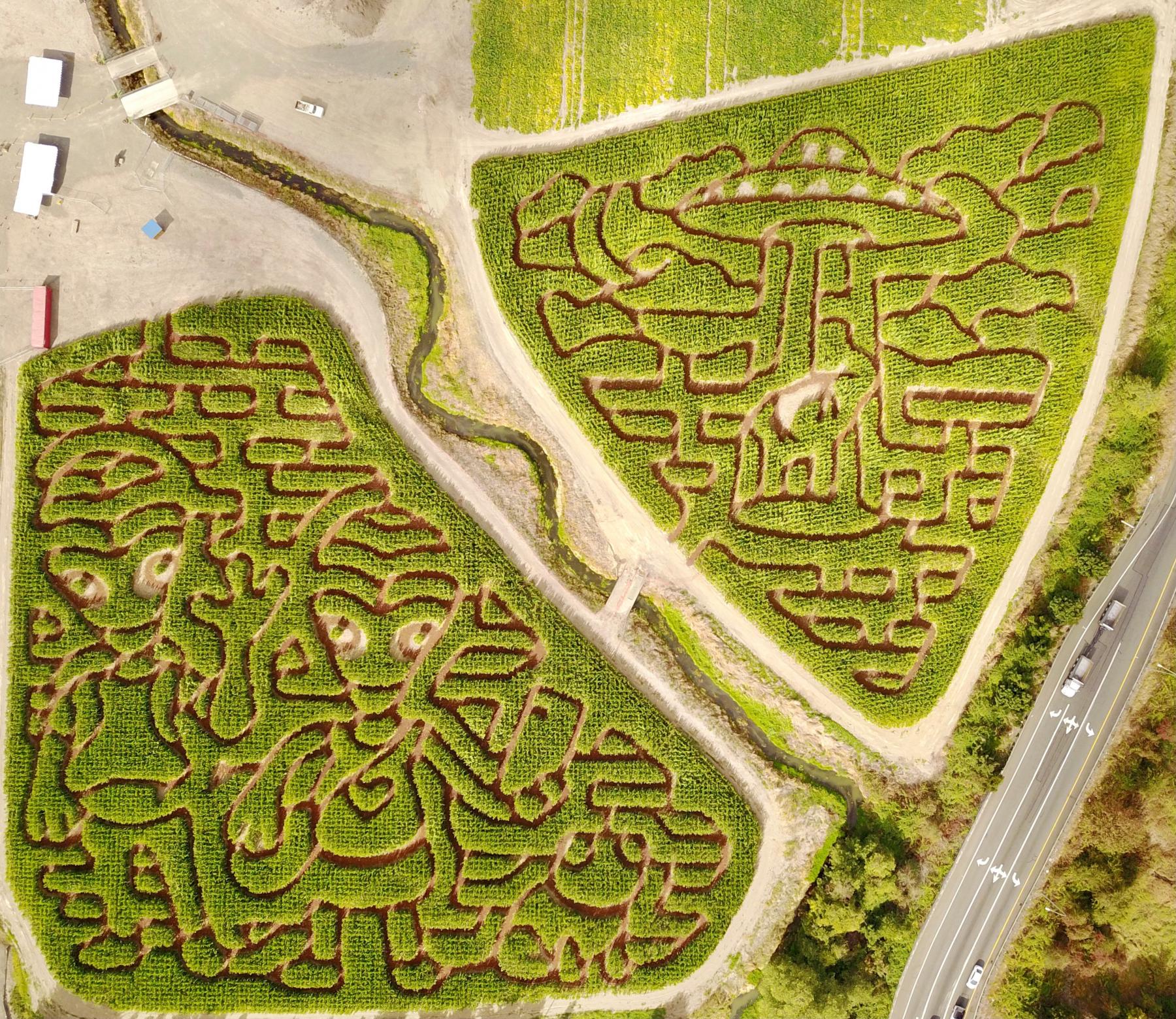 Corn Maze Wallpapers - Wallpaper Cave