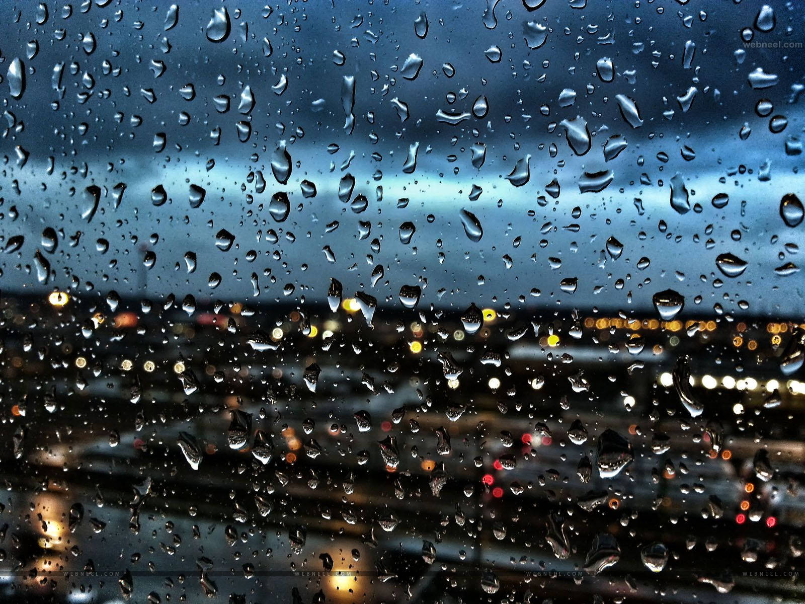 Rain Wallpaper