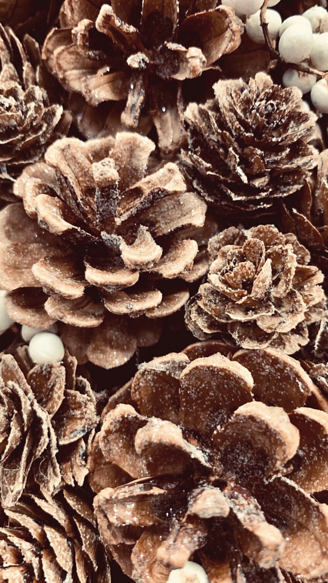 Free Beautiful Winter Wallpaper For iPhone That You'll Love