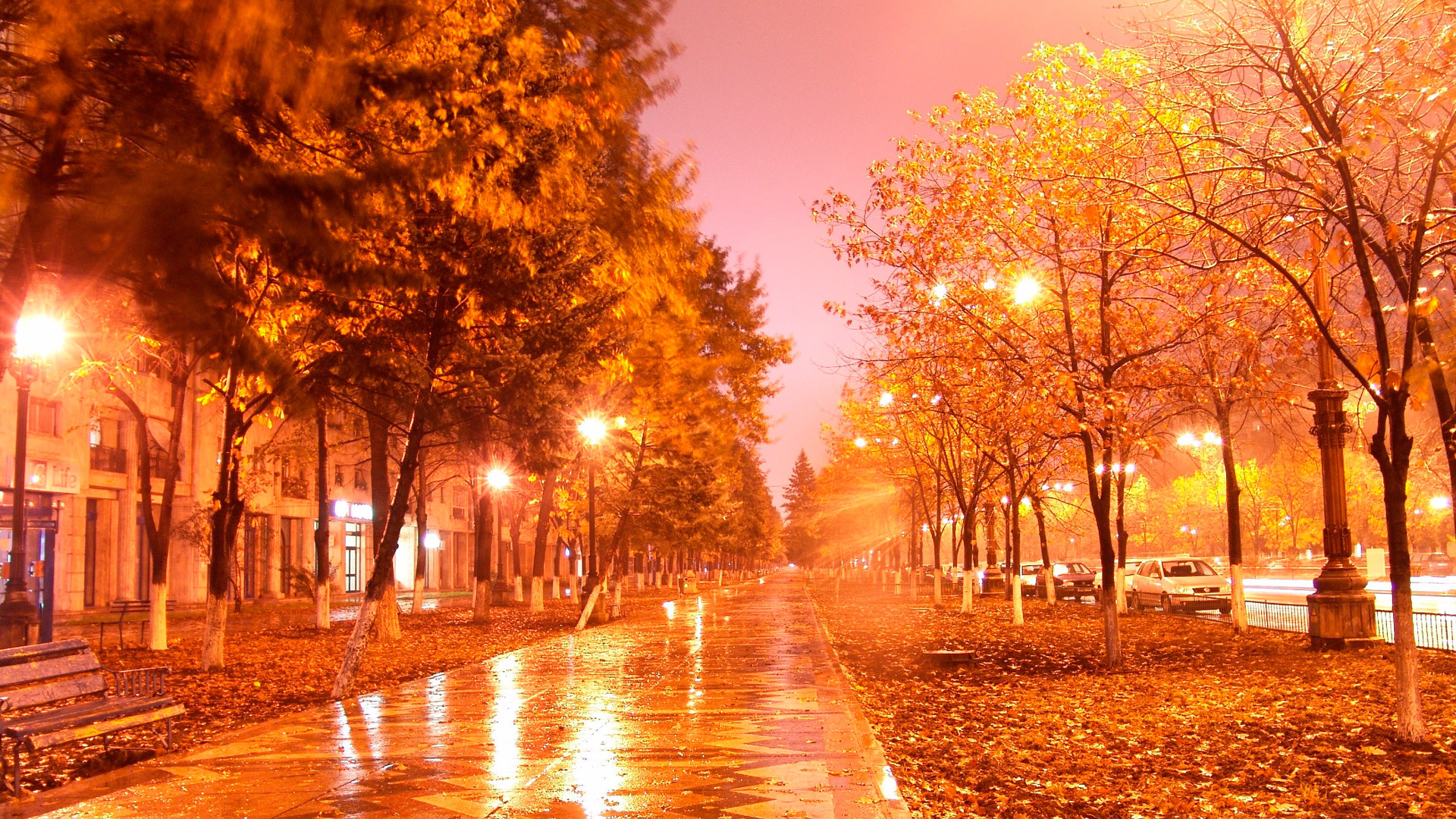 Mobile wallpaper: Streets, Landscape, Trees, Autumn, Night, 22329 download the picture for free