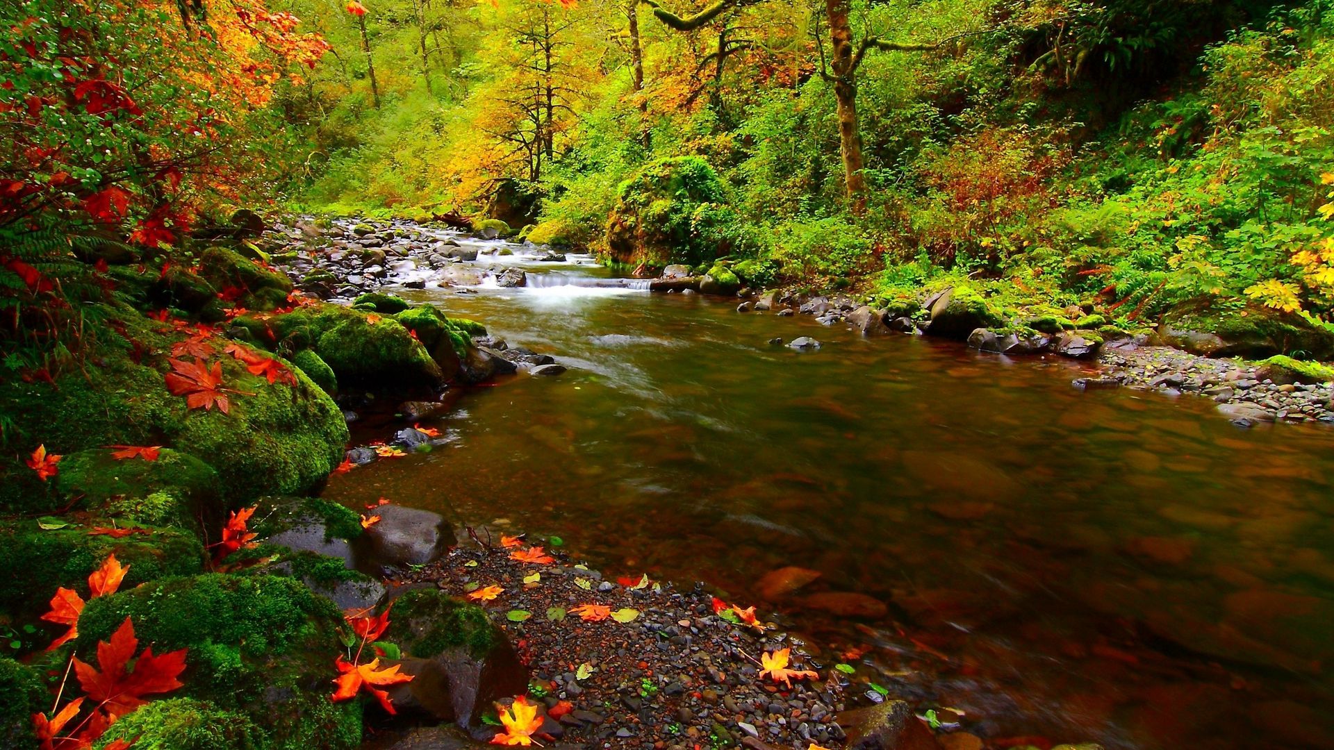 autumn river wallpaper