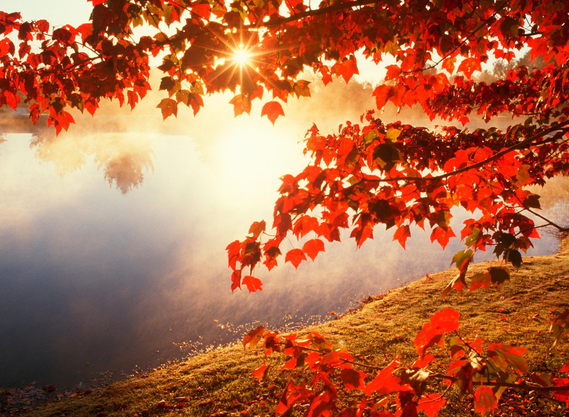 Good morning Autumn sunlight