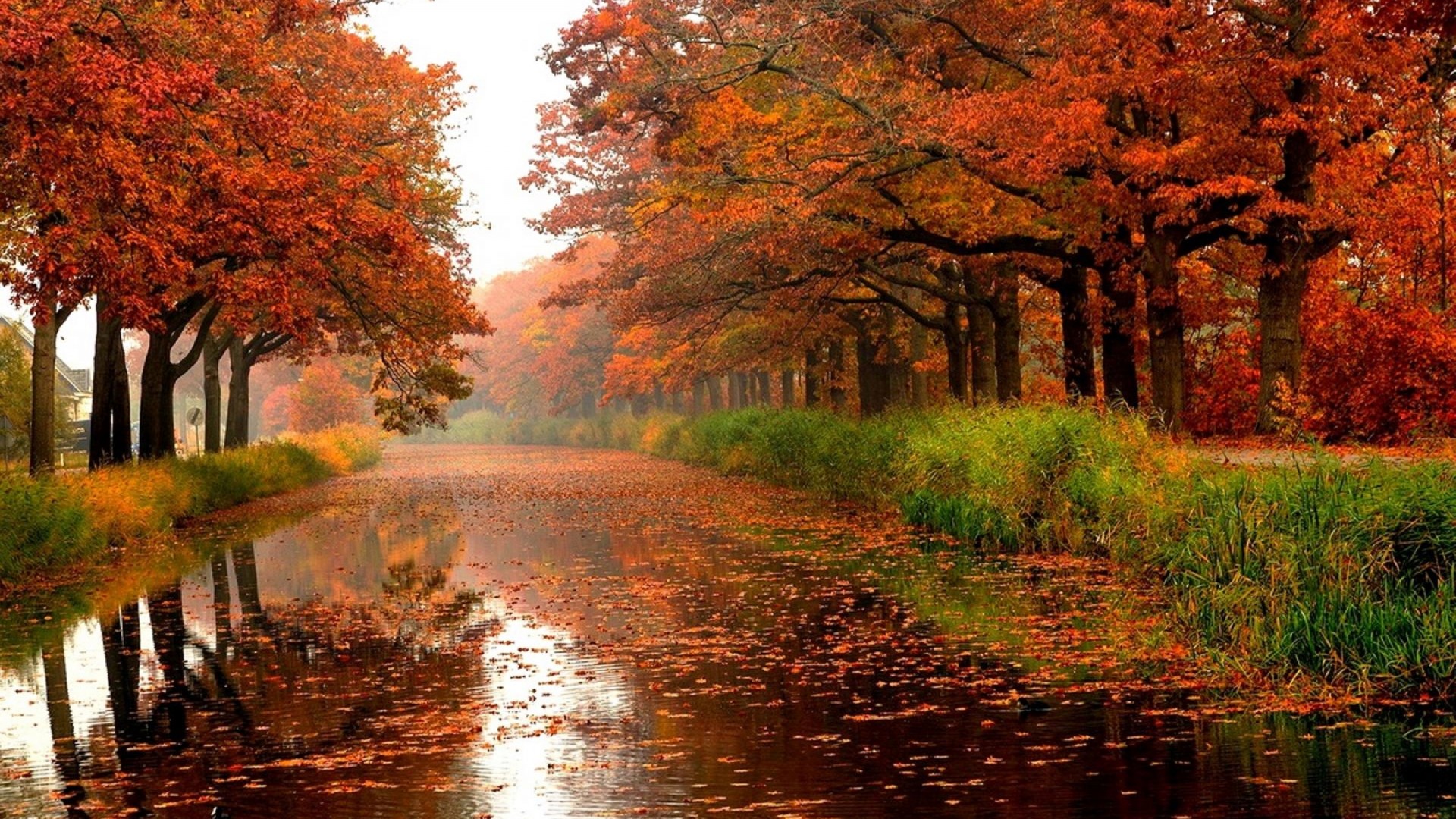 Autumn River Trees Colours Leaves Nature