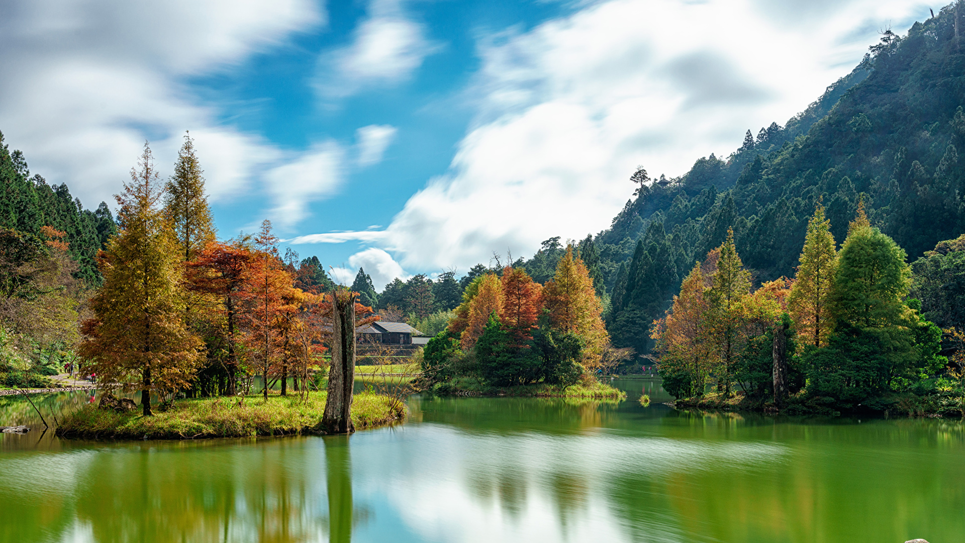image Taiwan Mingchi Nature Autumn mountain Rivers Trees 1920x1080
