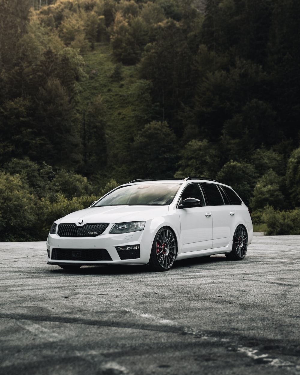 Skoda Octavia Picture. Download Free Image