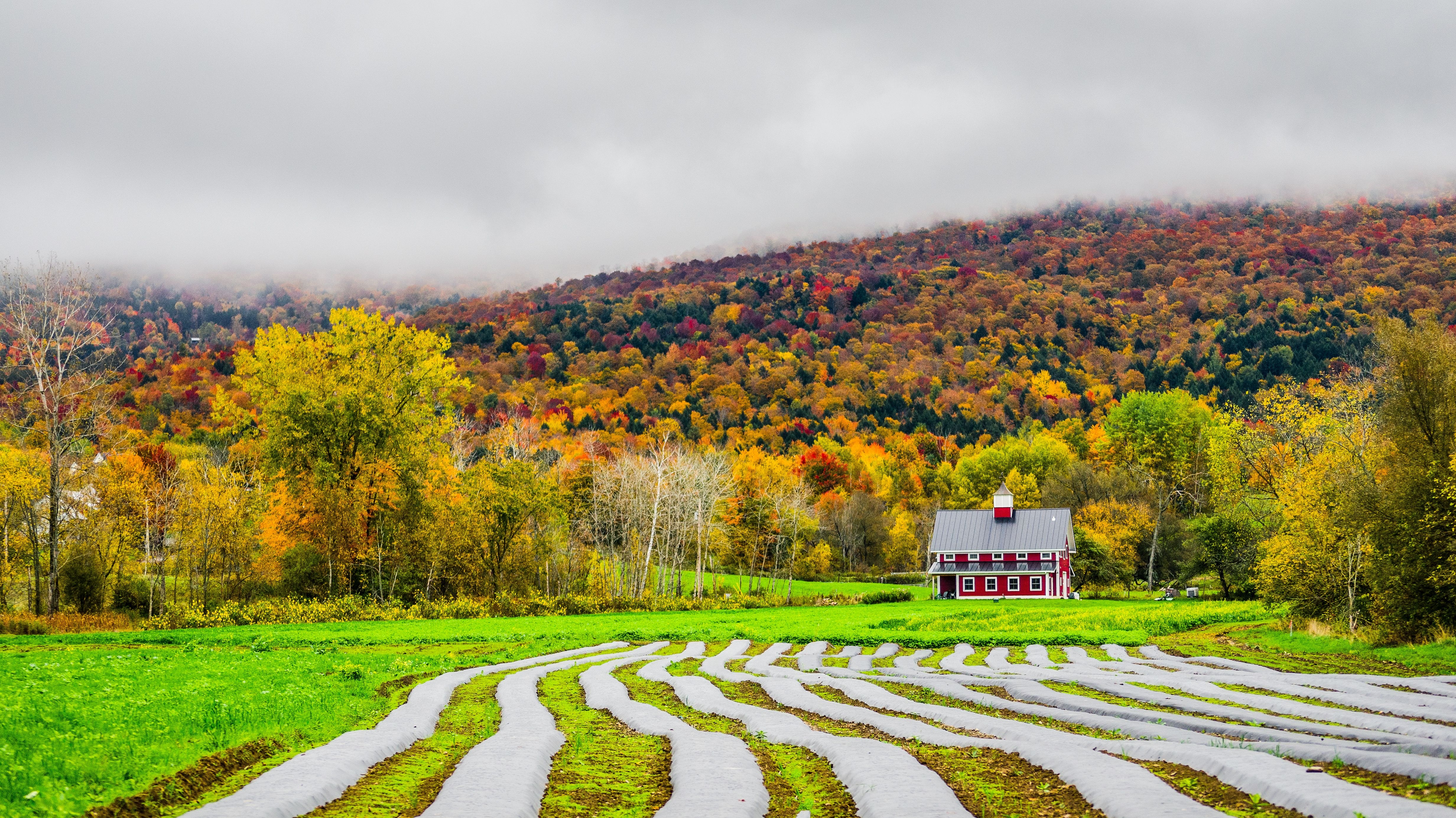 Rural Autumn Landscape