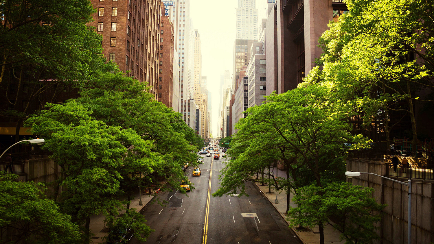 See beautiful photo of New York in summer