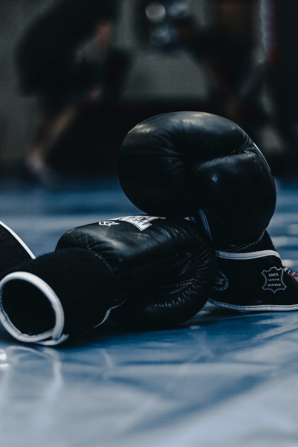 Boxing Gym Picture. Download Free Image
