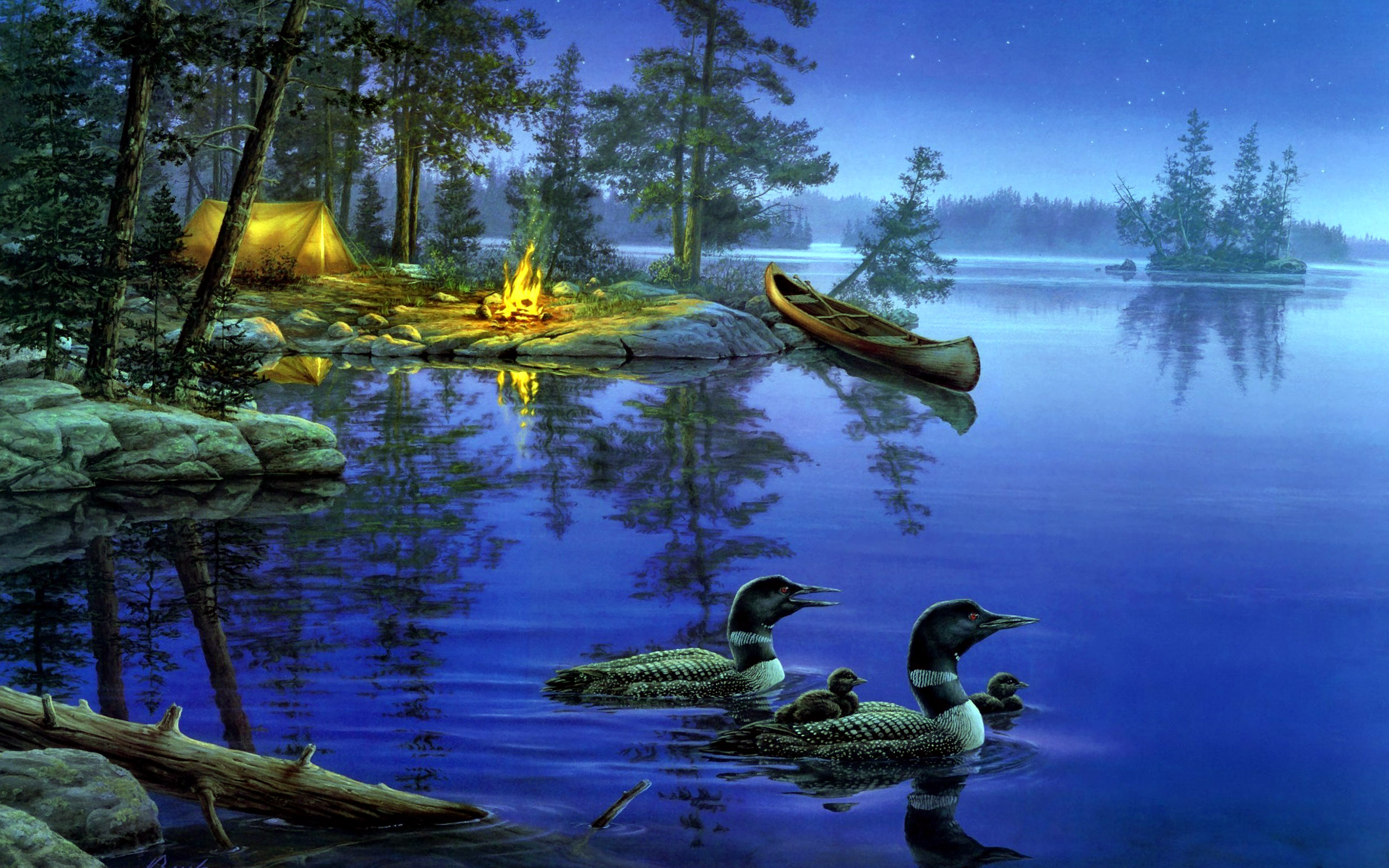 Ducks In Lake at Night Wallpaper HD / Desktop and Mobile Background