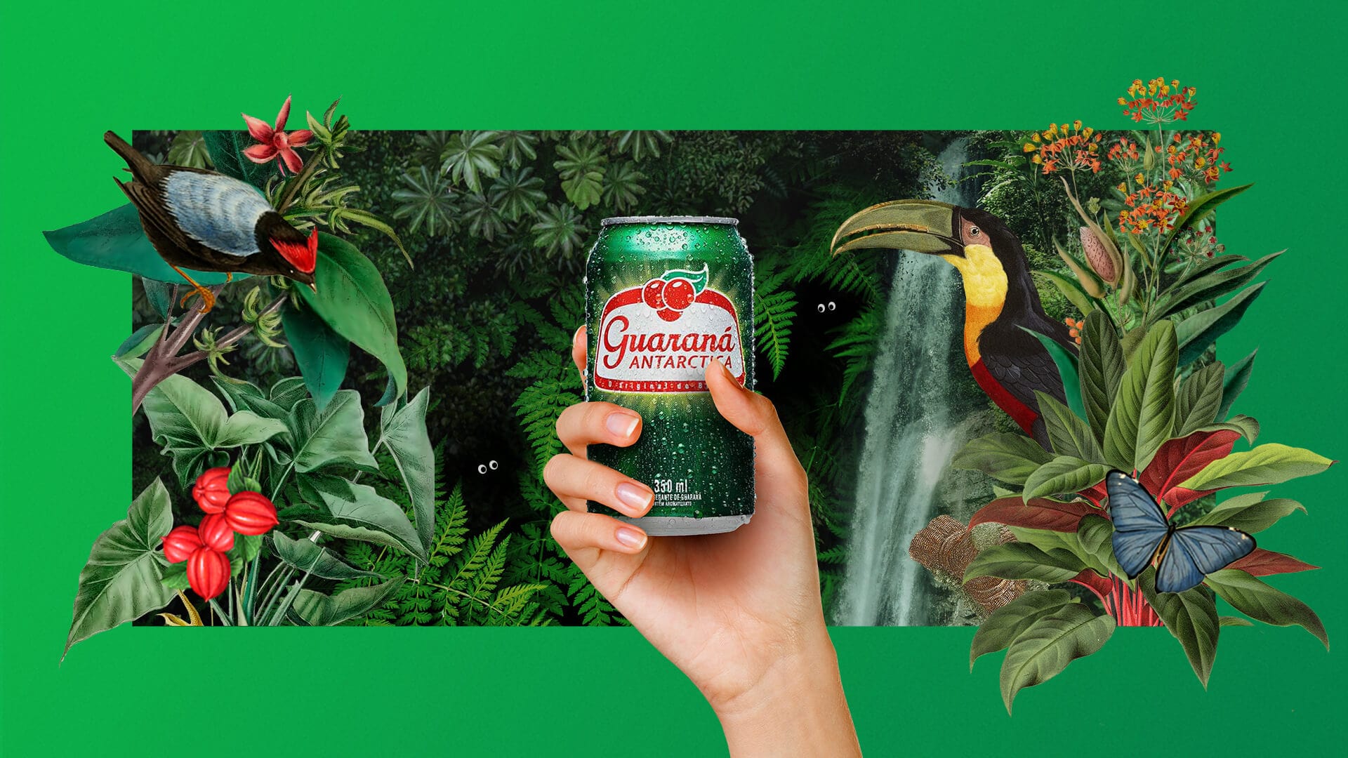 Guaraná Antarctica's branding case study