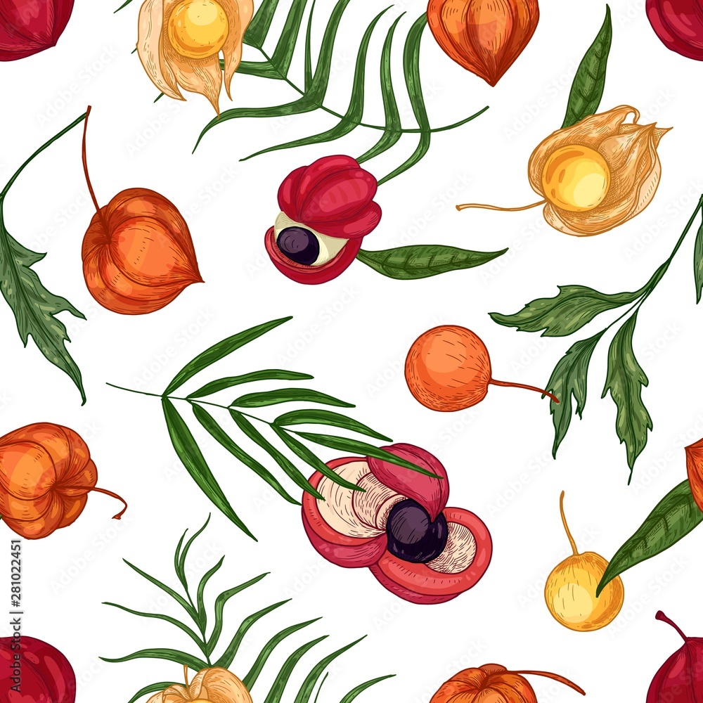 Natural seamless pattern with fresh ripe guarana and physalis fruits and berries on white background. Backdrop with organic superfoods. Realistic vector illustration for wallpaper, textile print. Stock Vector