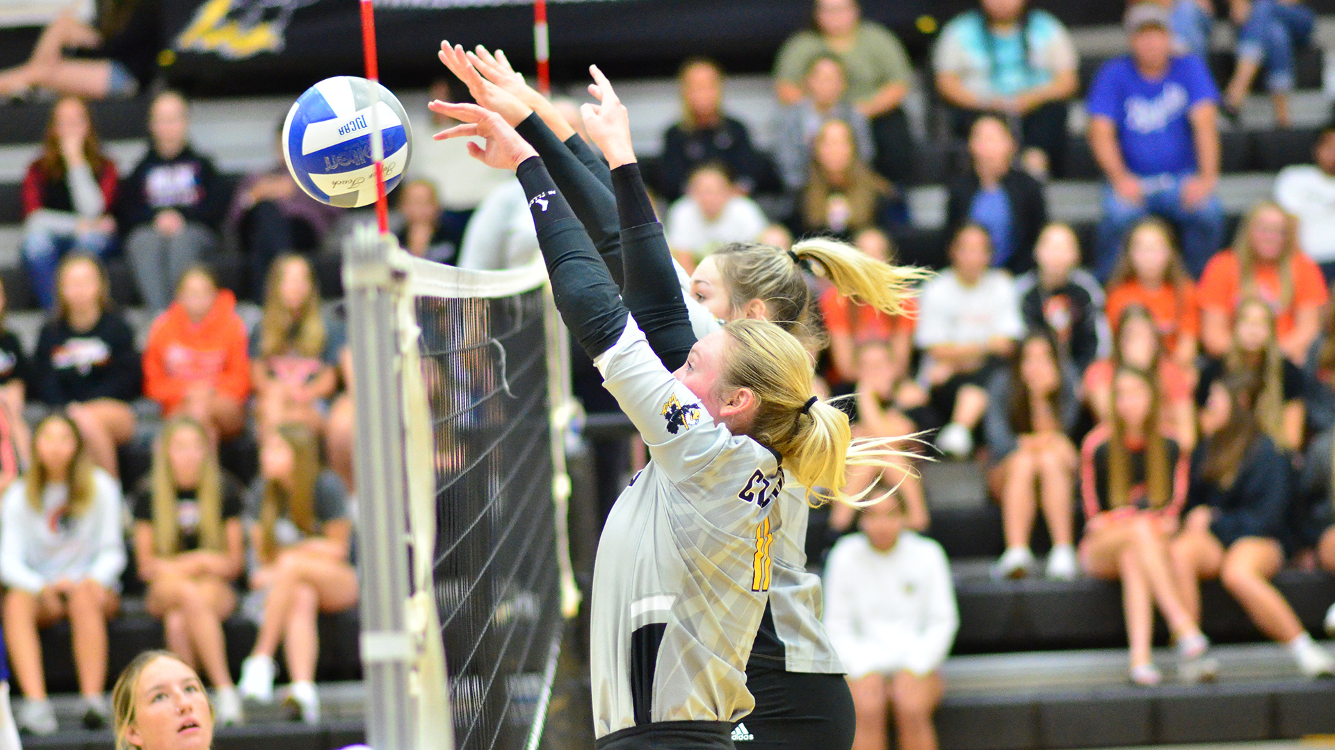 volleyball-block-wallpapers-wallpaper-cave